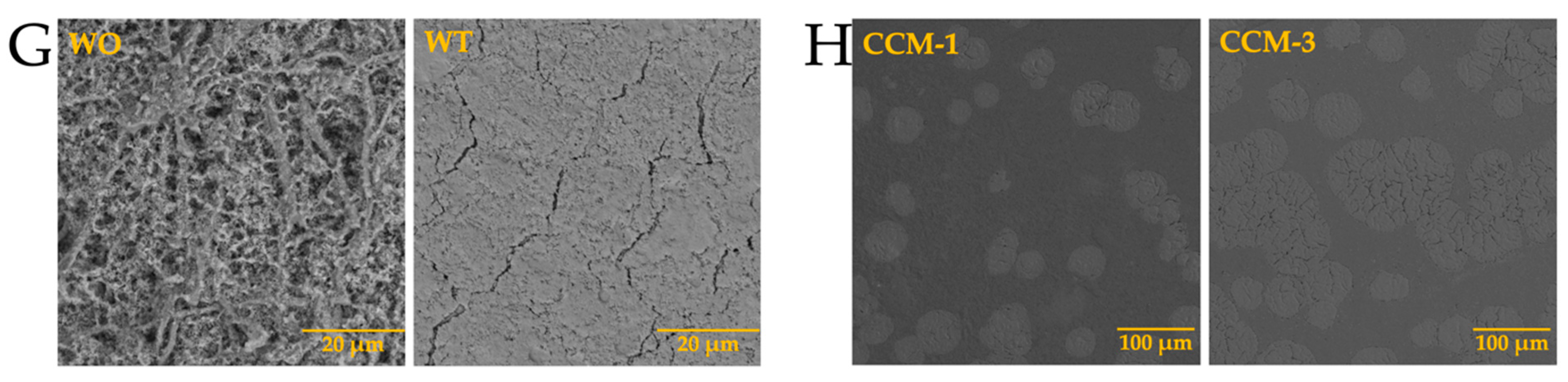 Membranes 13 00869 g014b