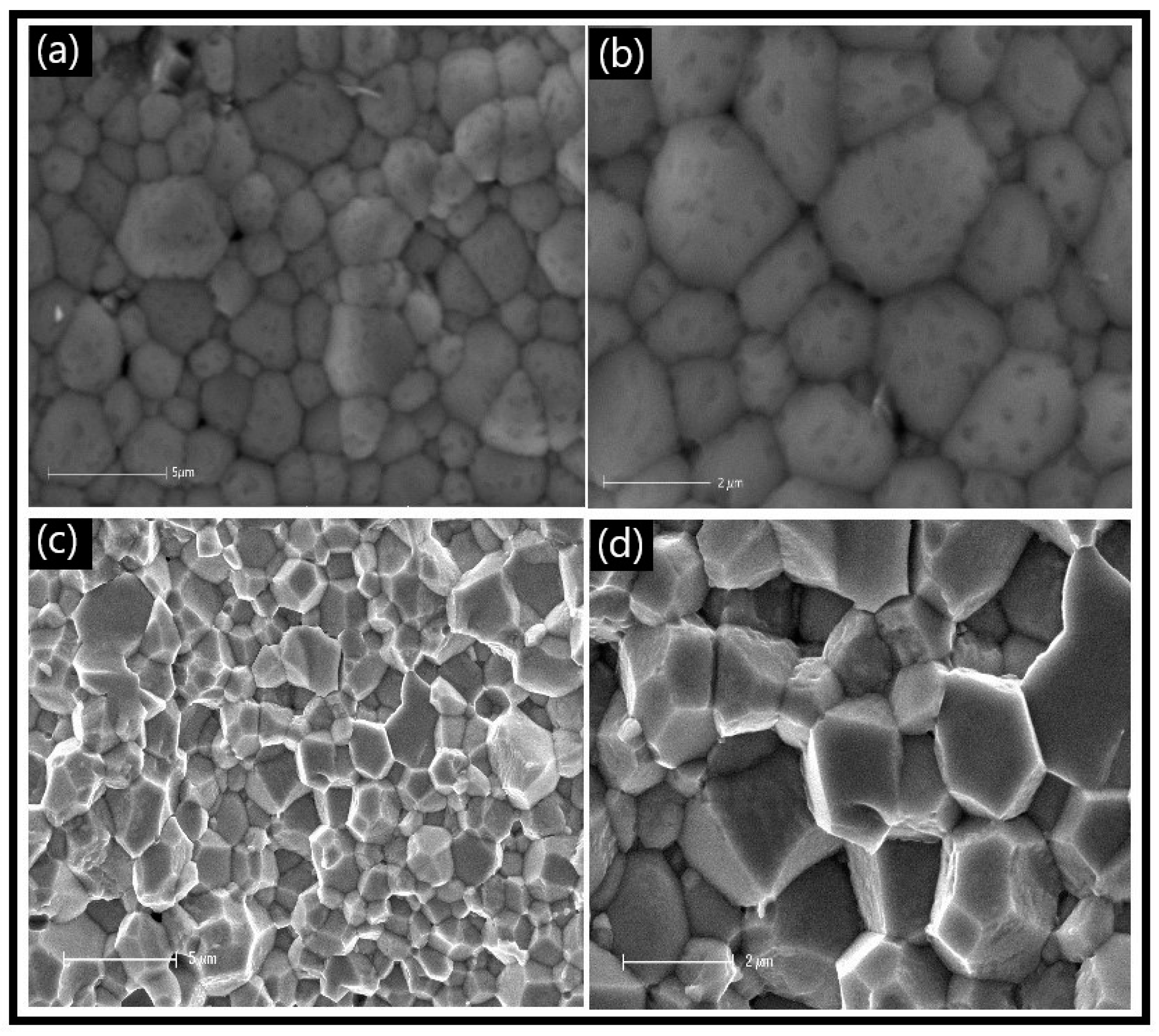 Membranes 13 00875 g003