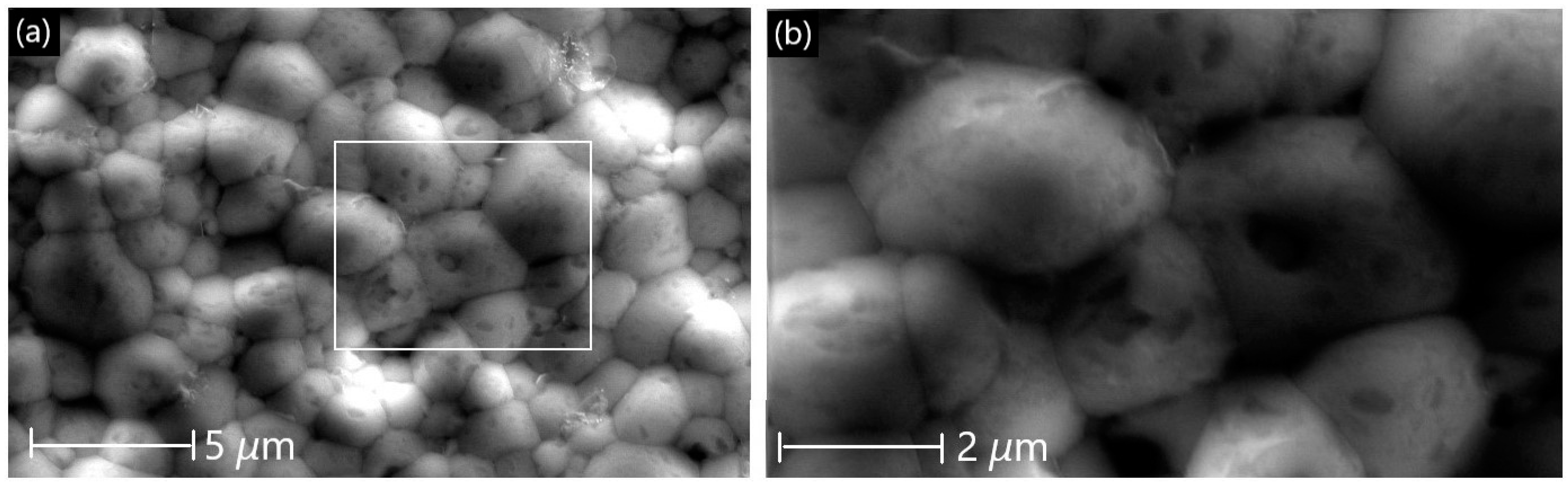 Membranes 13 00875 g009