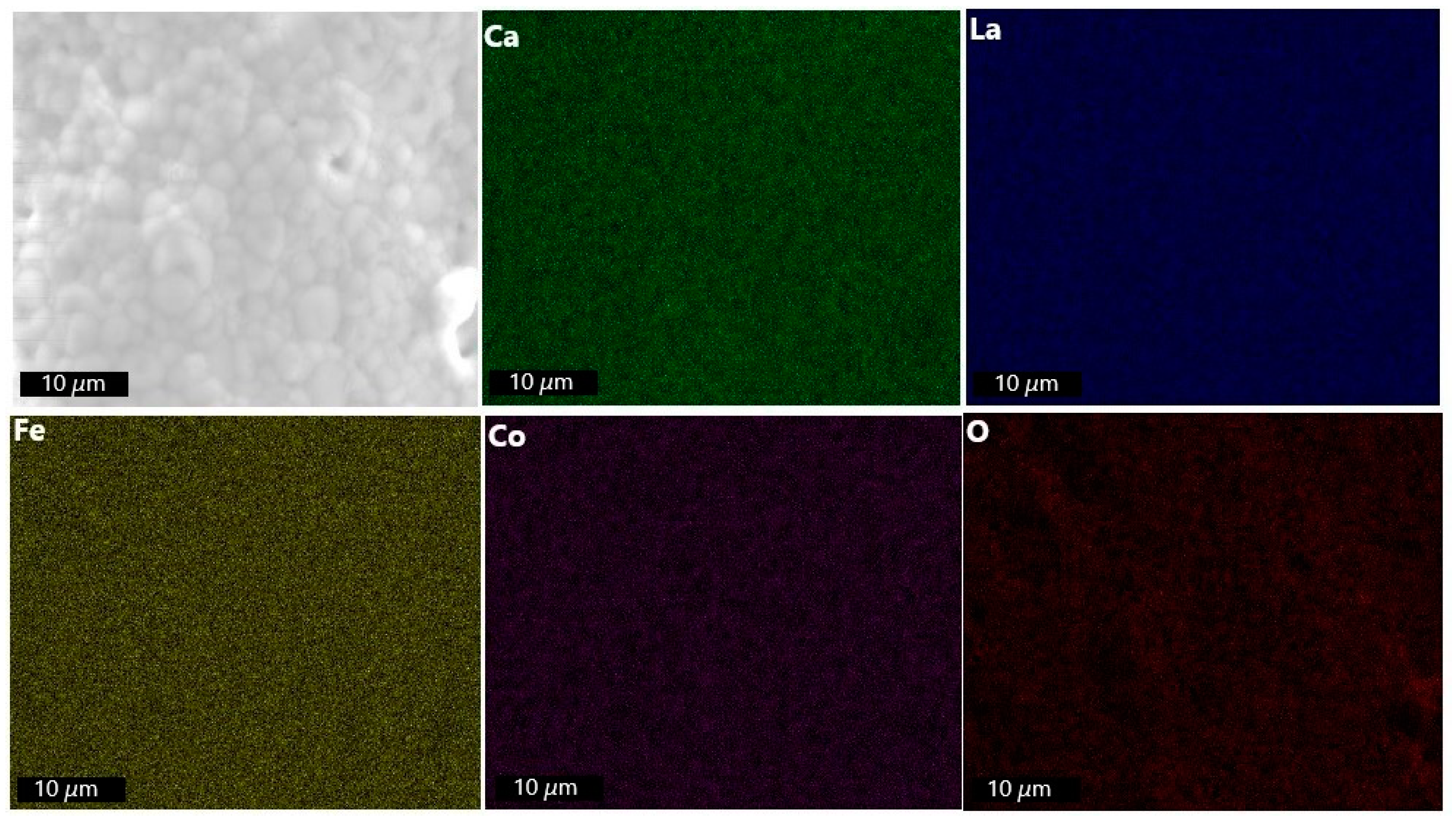 Membranes 13 00875 g010