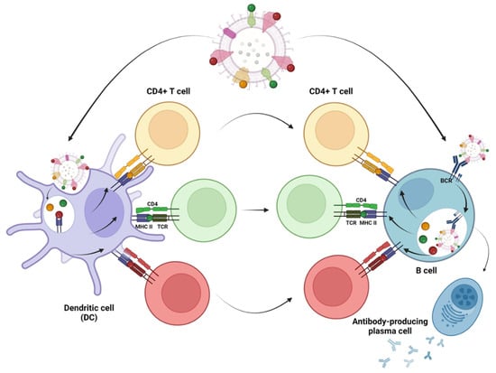 Membranes 13 00882 g001