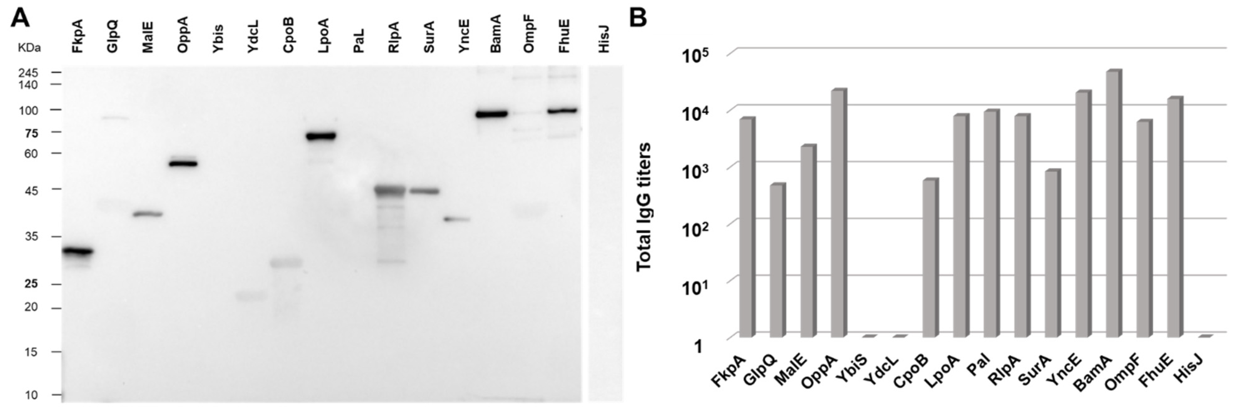 Membranes 13 00882 g002
