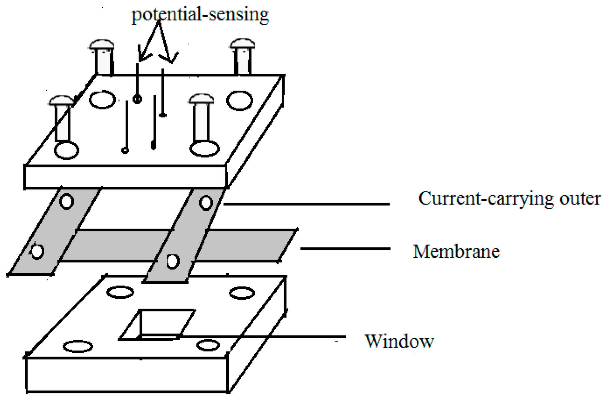 Membranes 13 00887 g001