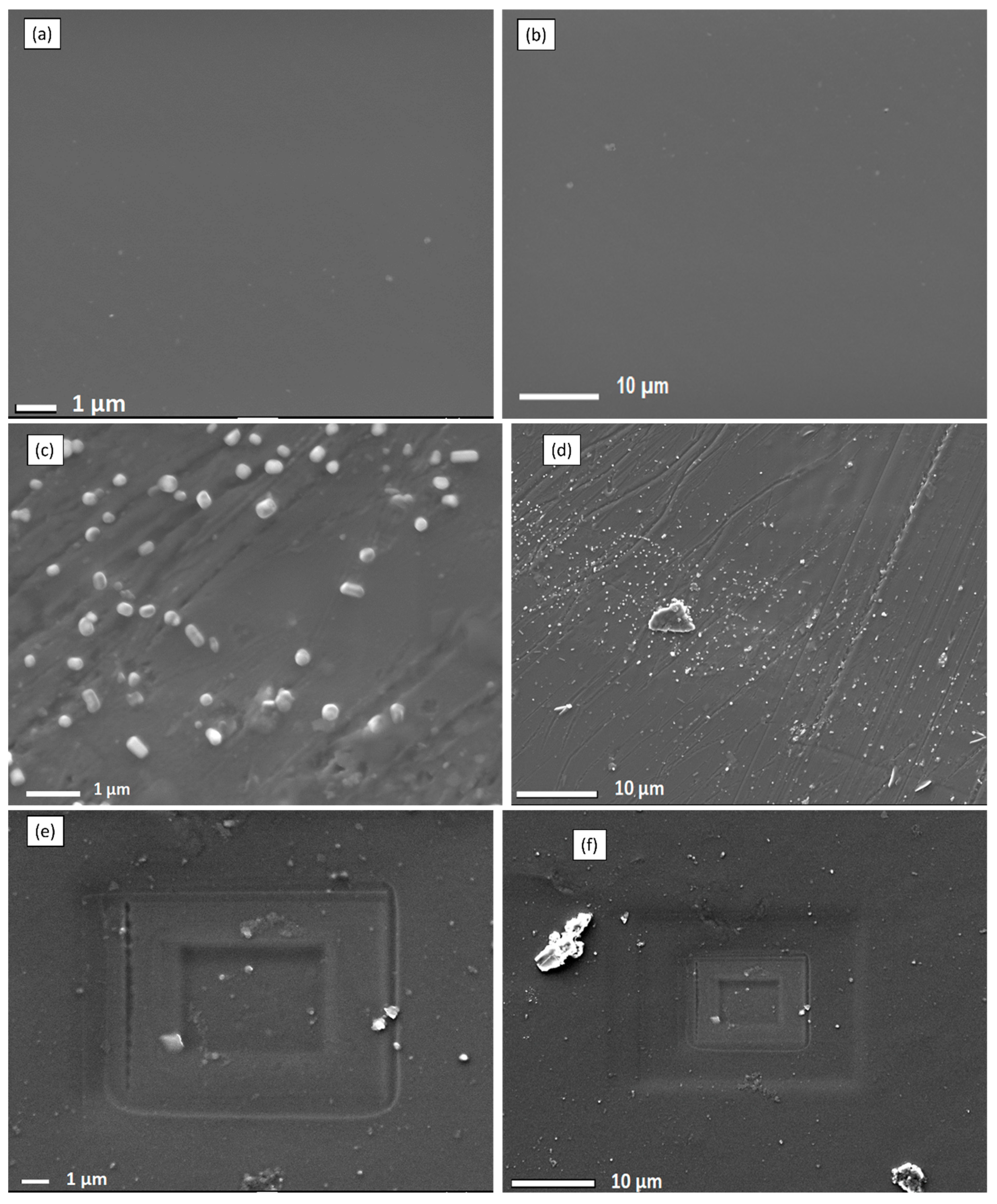 Membranes 13 00887 g003a