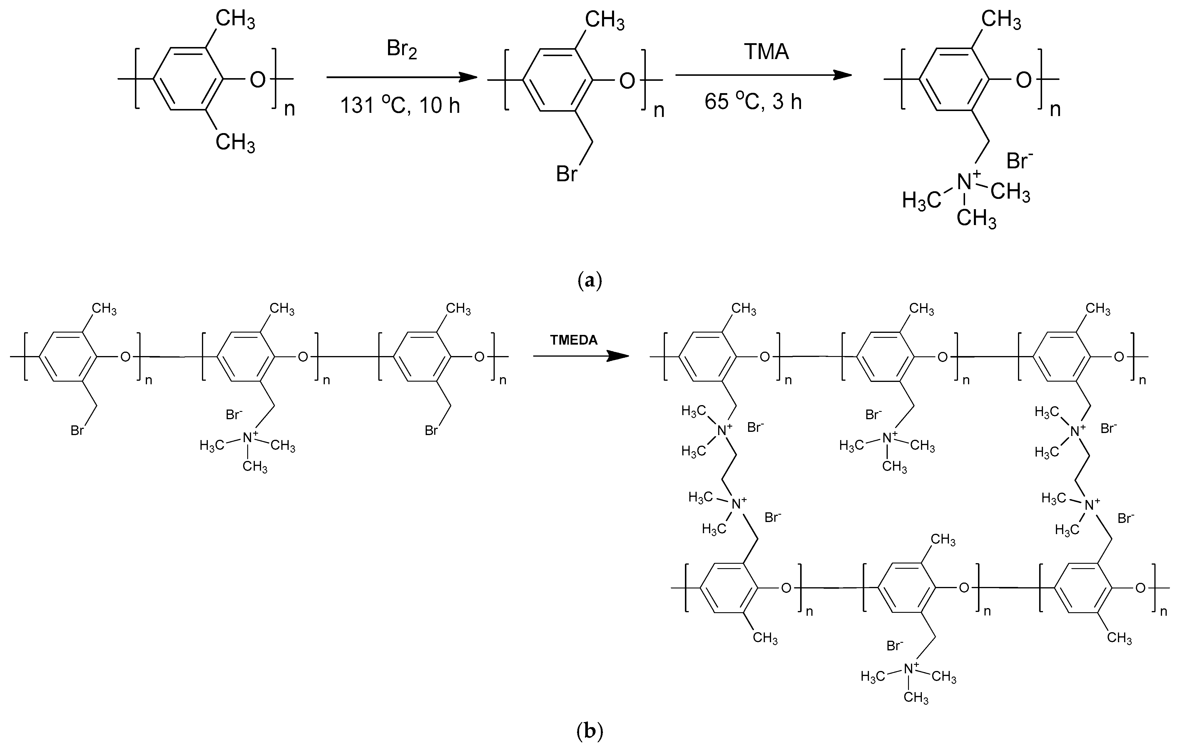 Membranes 13 00888 g002