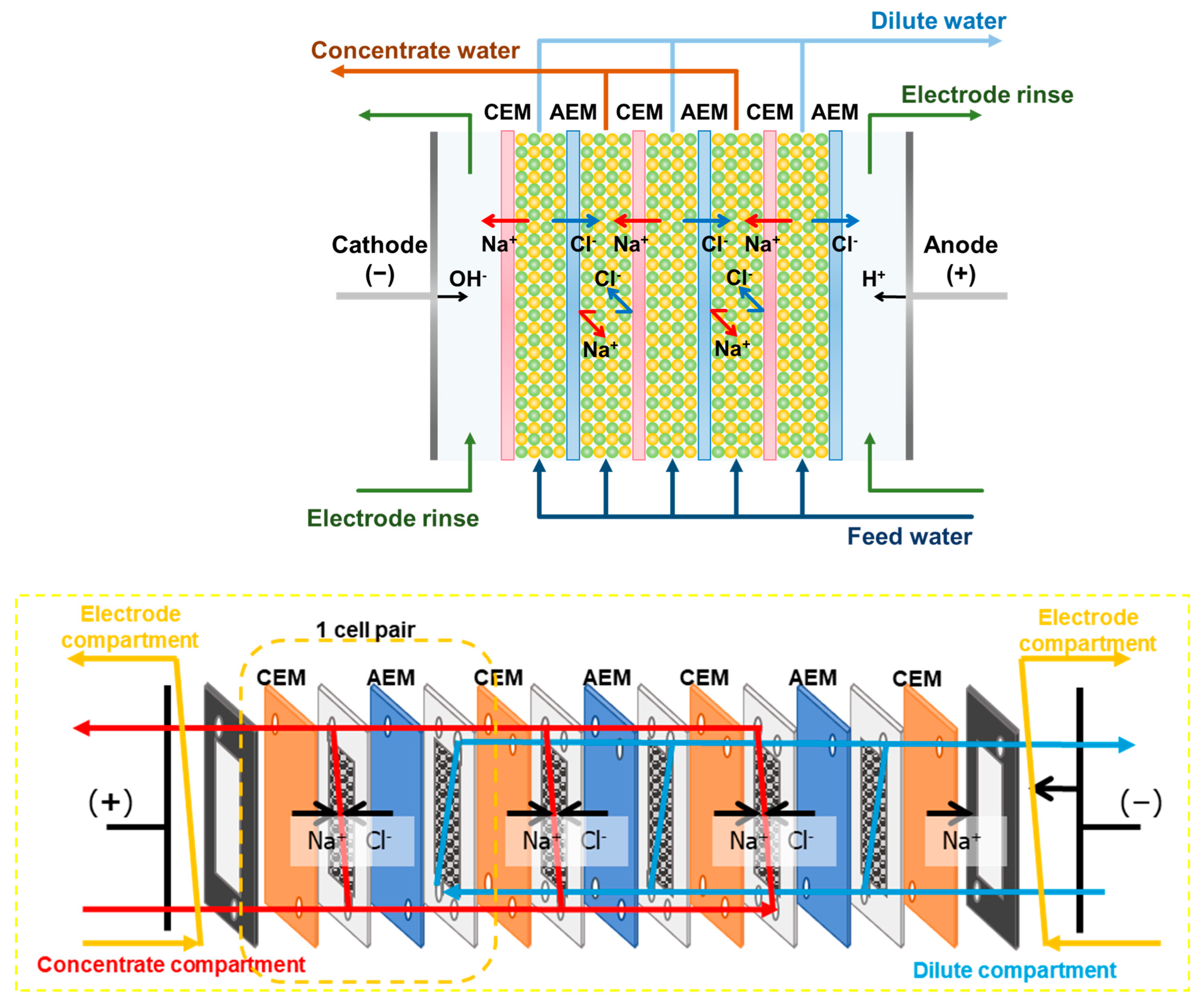 Membranes 13 00888 g004