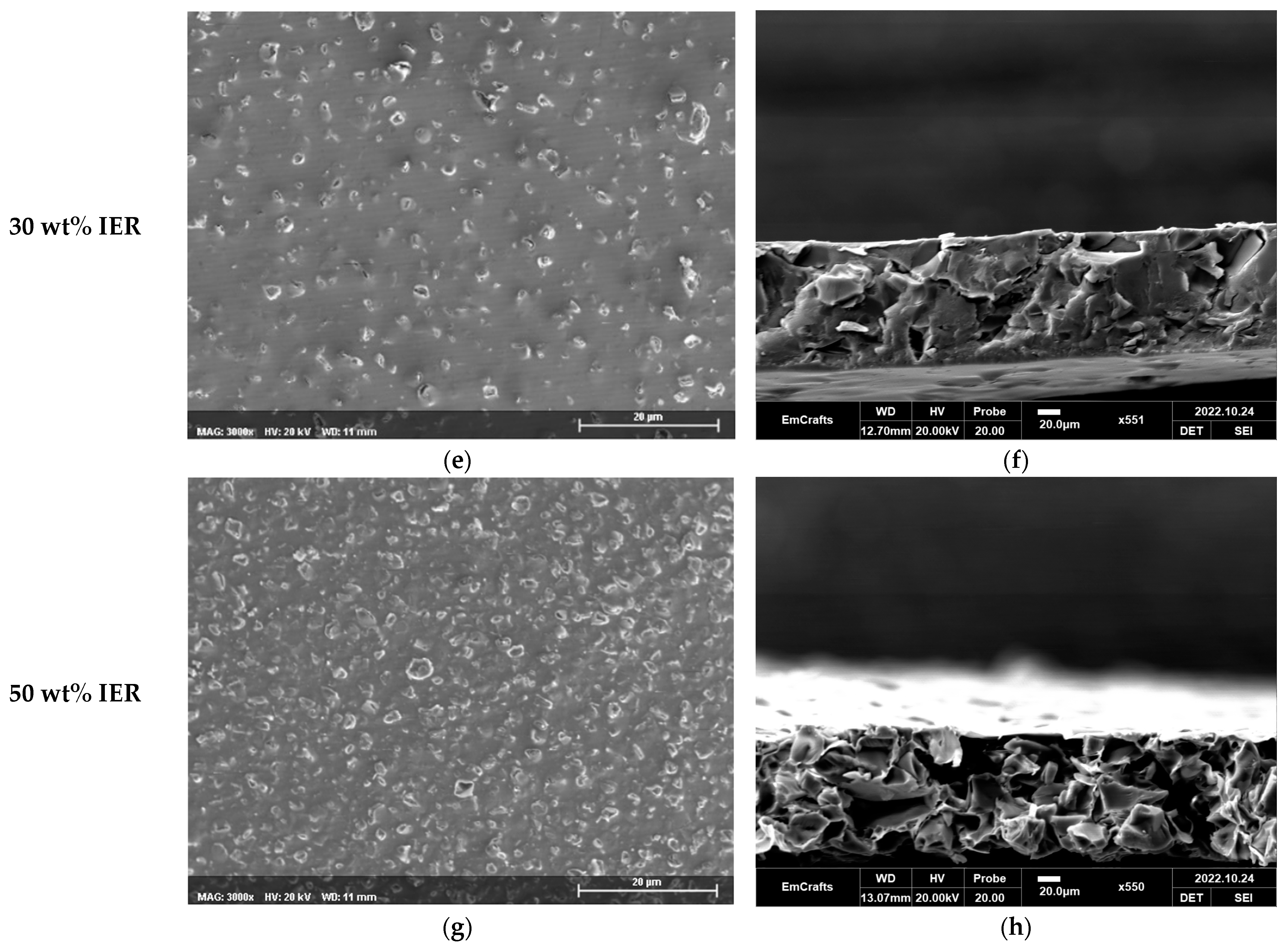 Membranes 13 00888 g006b