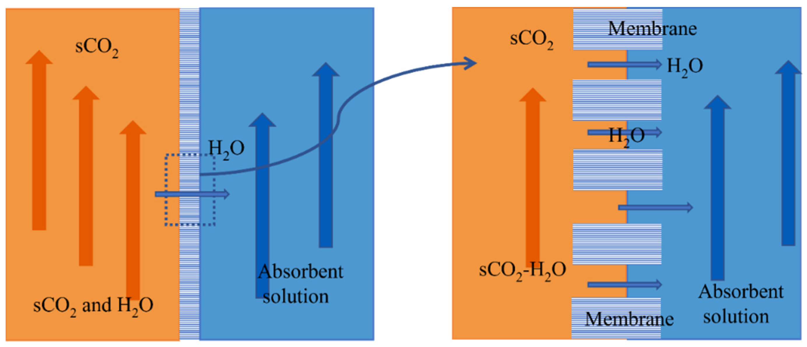 Membranes 13 00892 g002