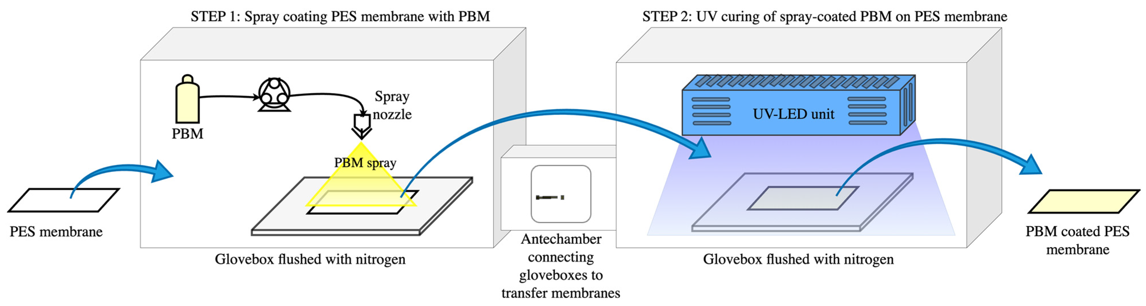 Membranes 13 00893 g001