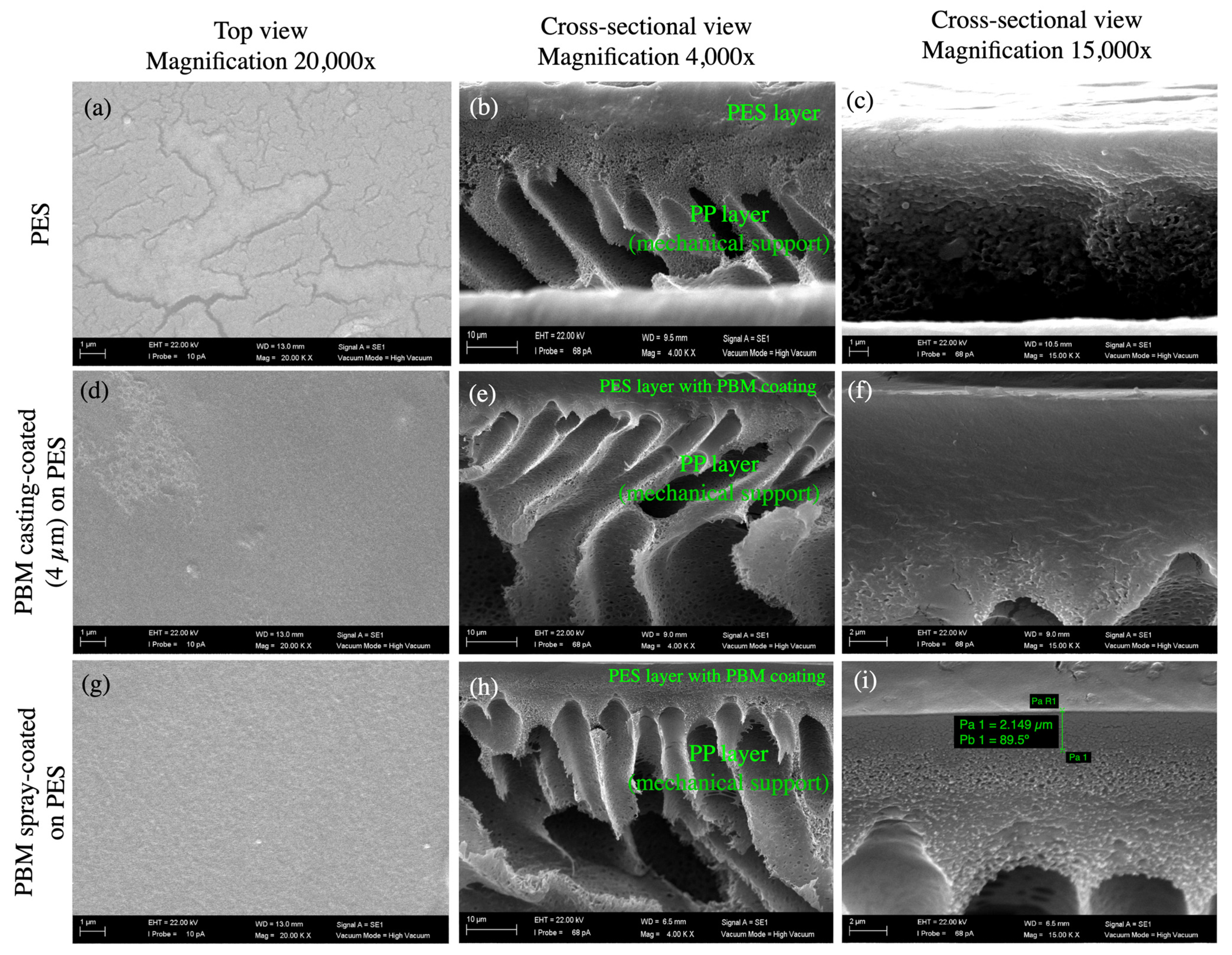 Membranes 13 00893 g004