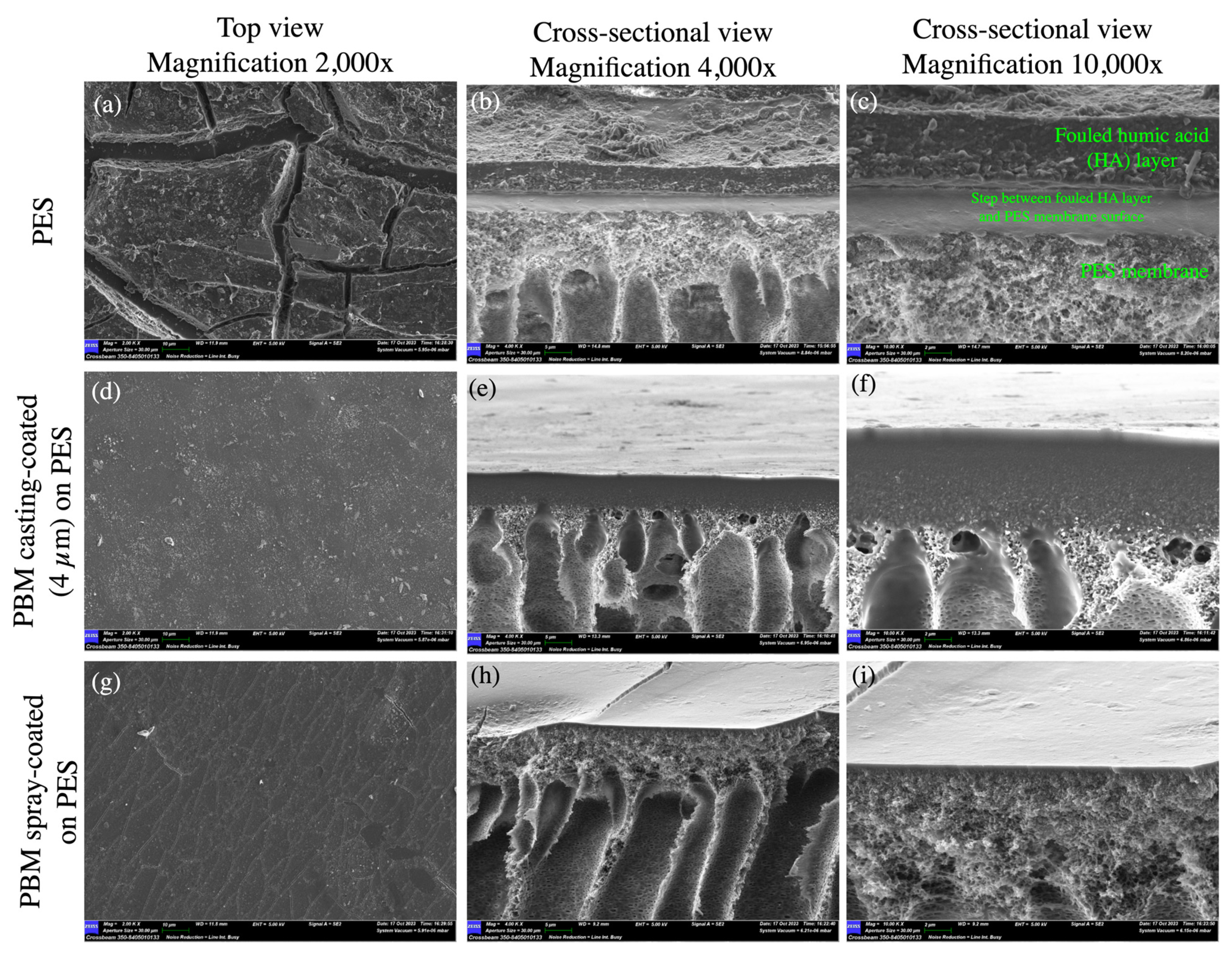 Membranes 13 00893 g010