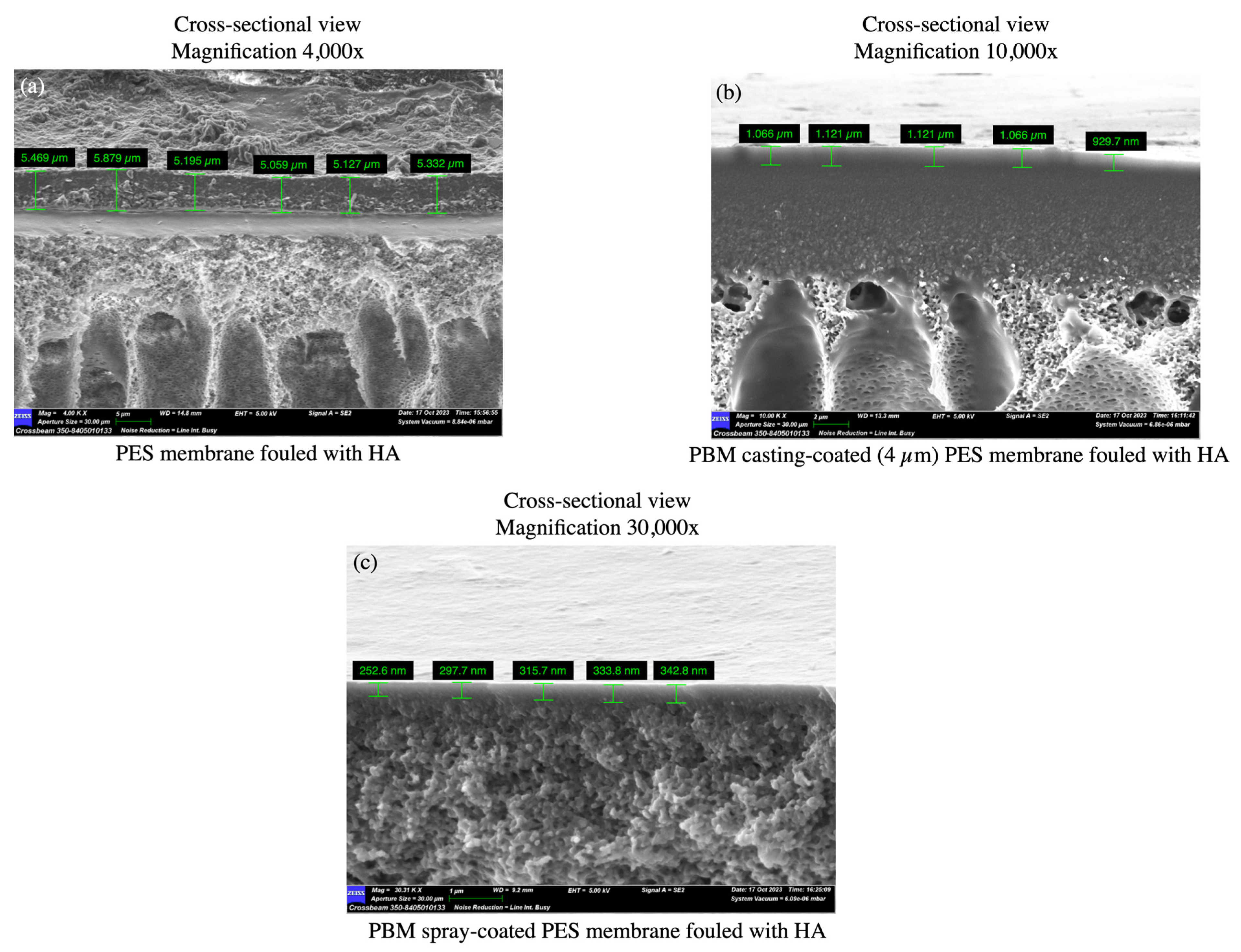 Membranes 13 00893 g011