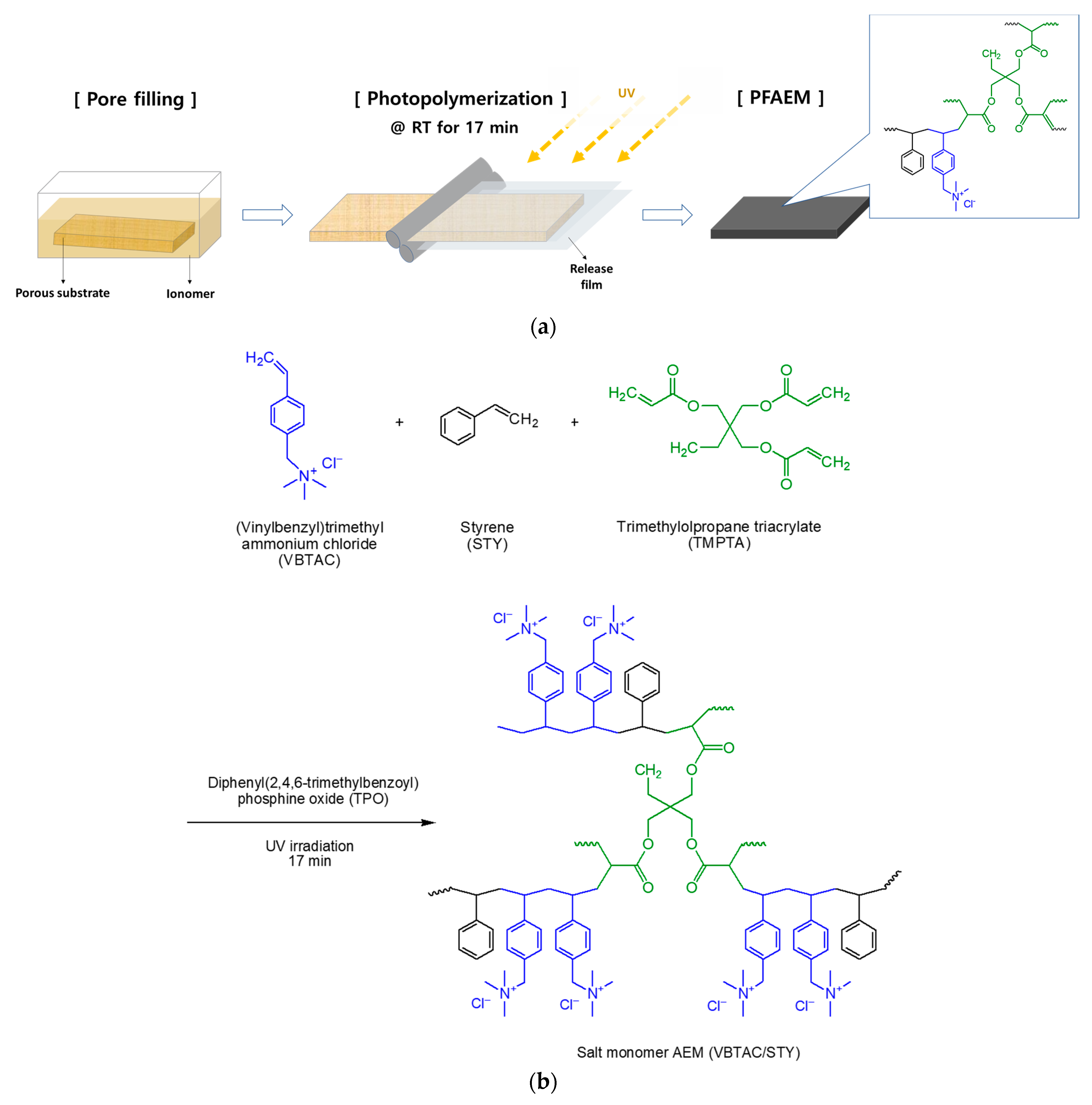 Membranes 13 00894 g001
