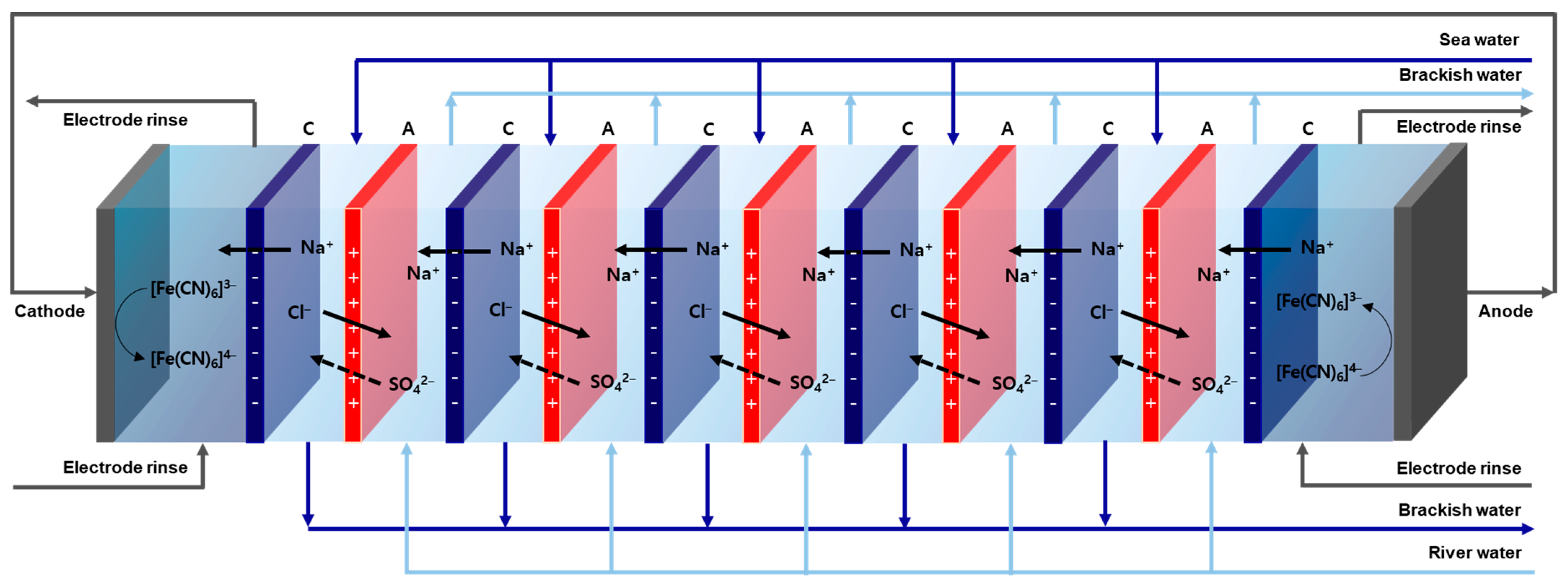 Membranes 13 00894 g005