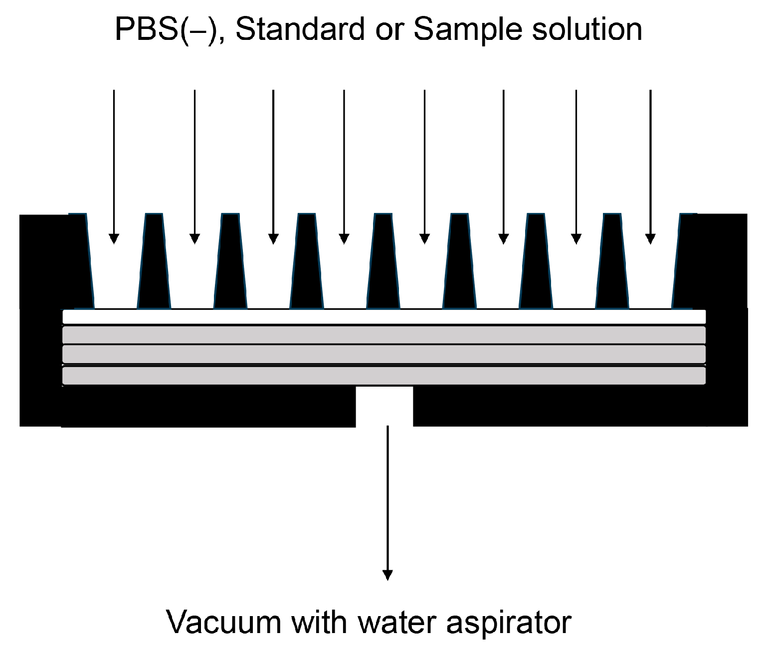 Membranes 13 00896 g004