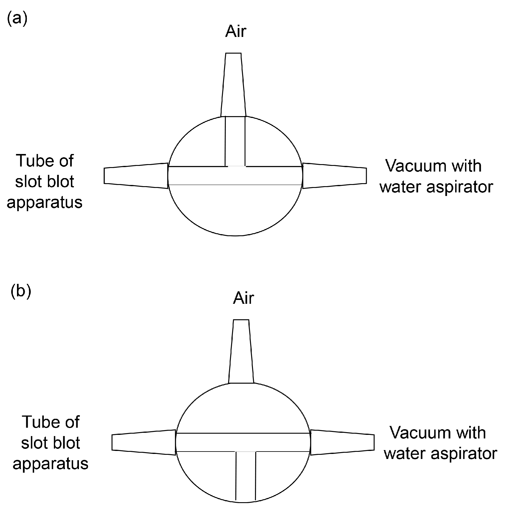 Membranes 13 00896 g006