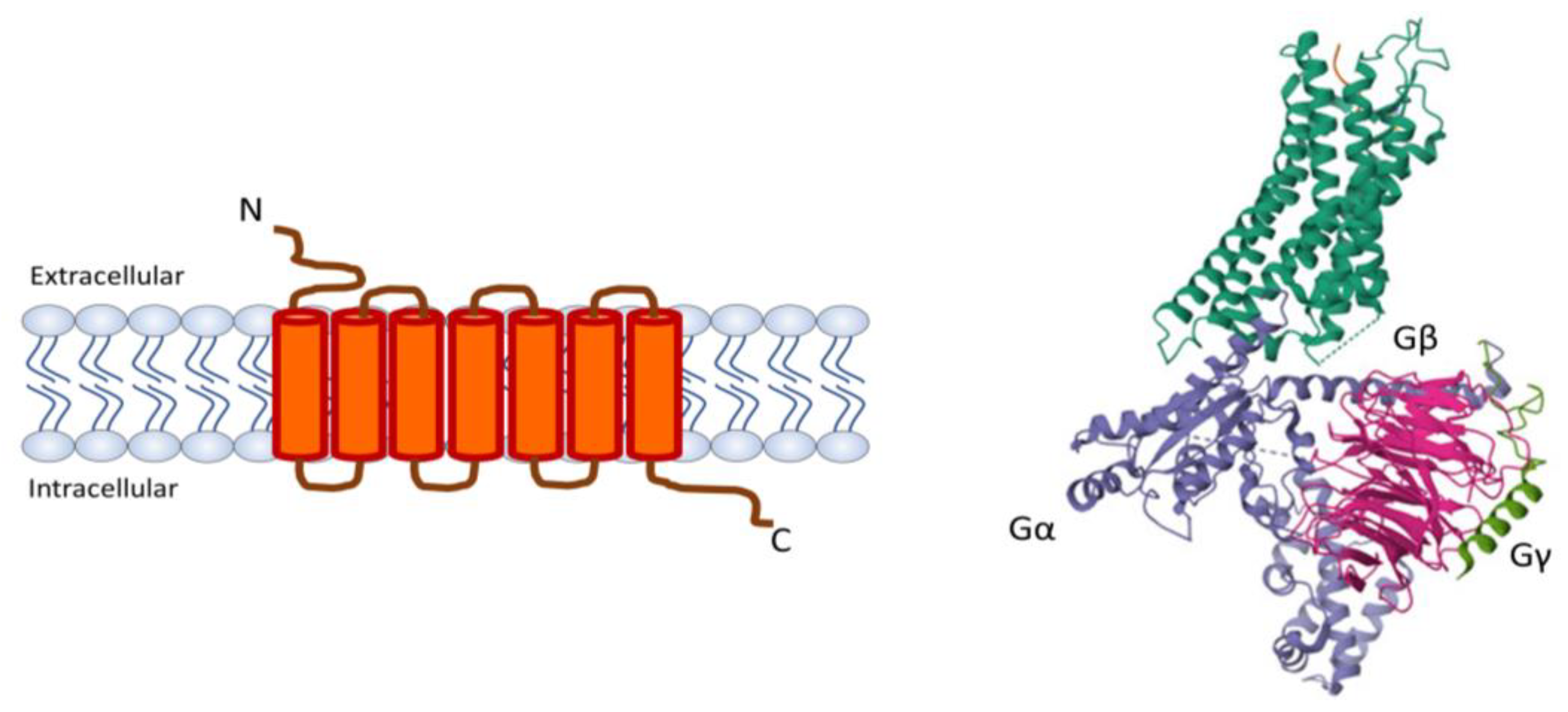 Membranes 13 00897 g001