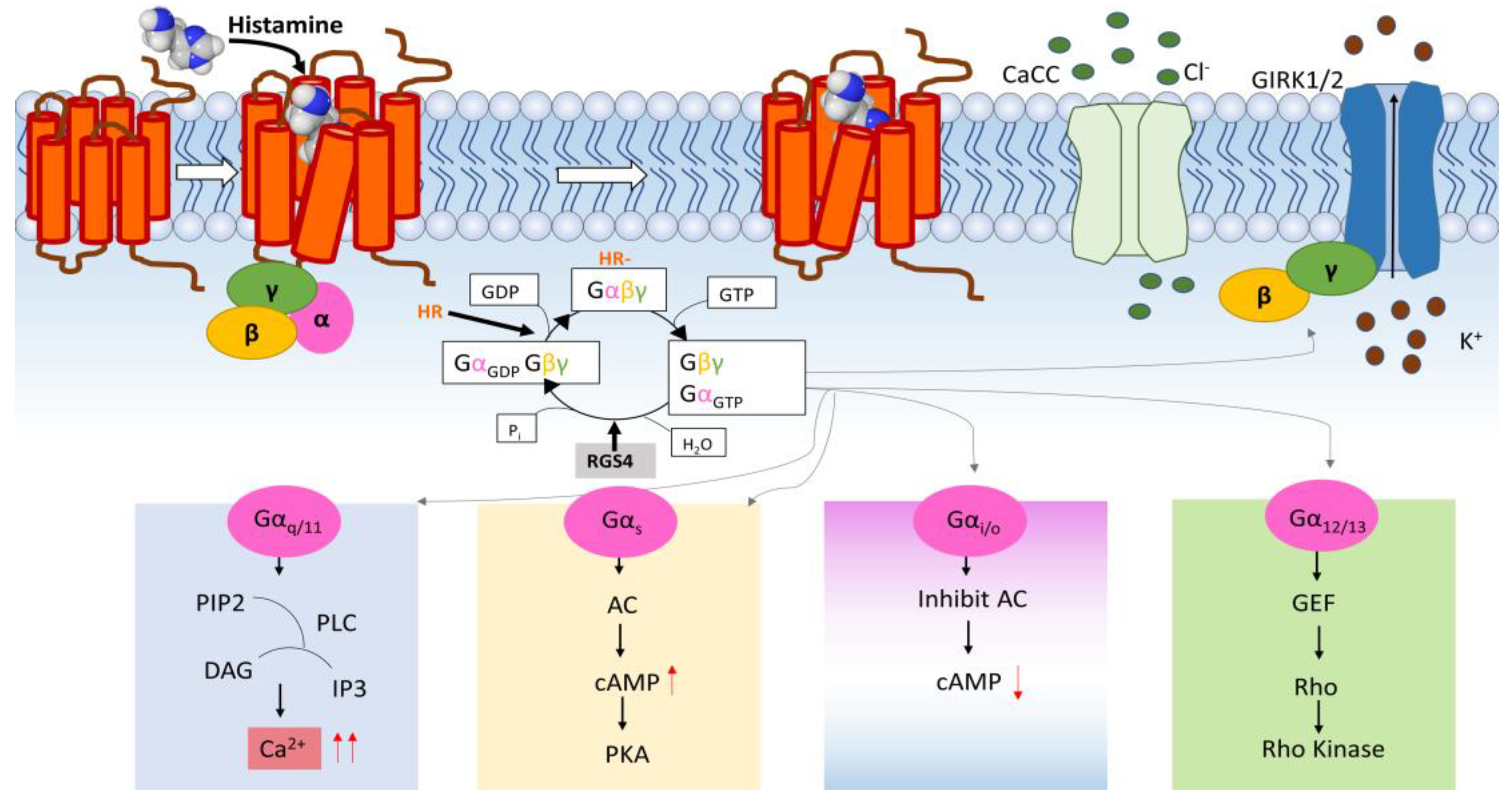 Membranes 13 00897 g002