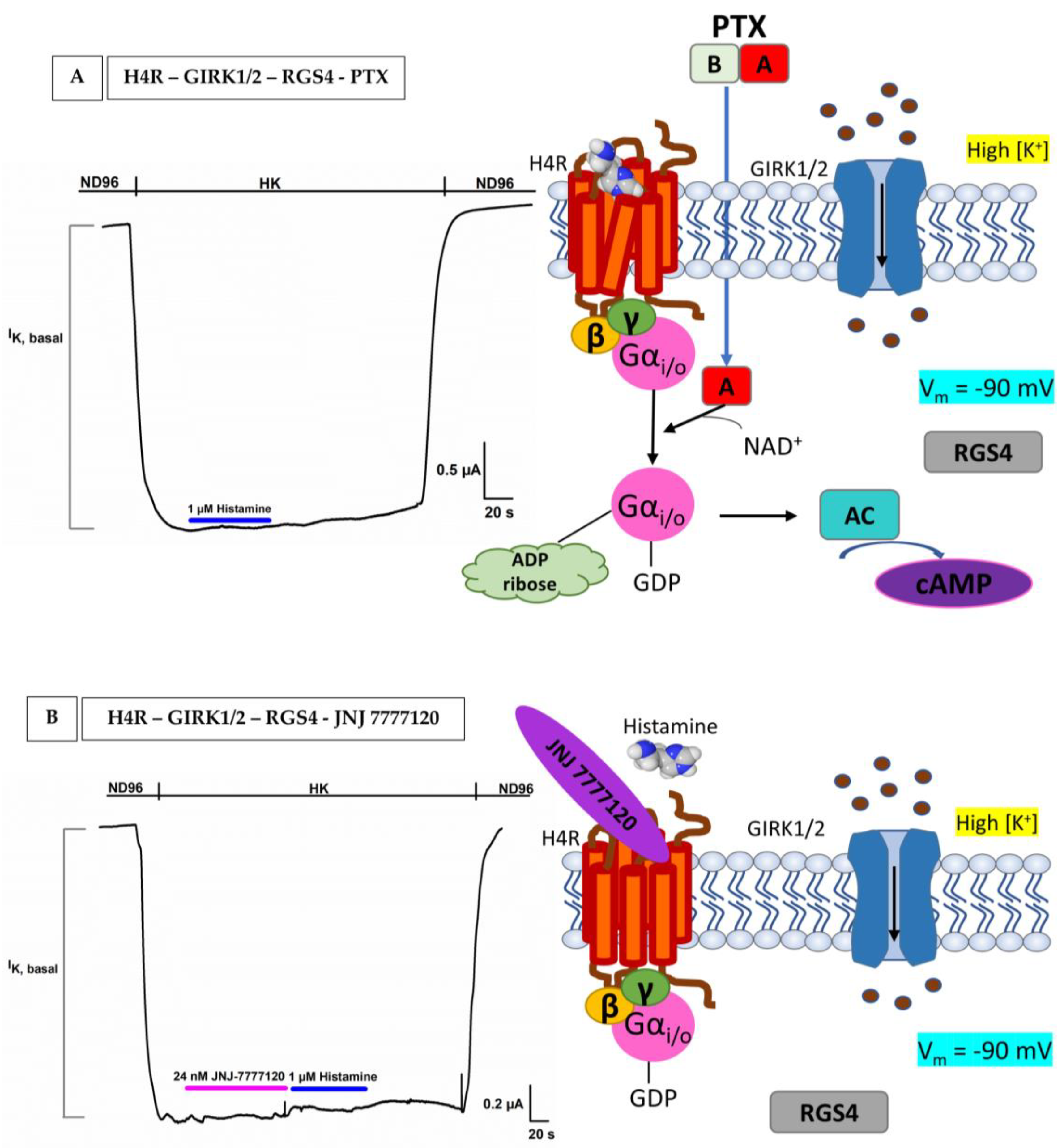 Membranes 13 00897 g006