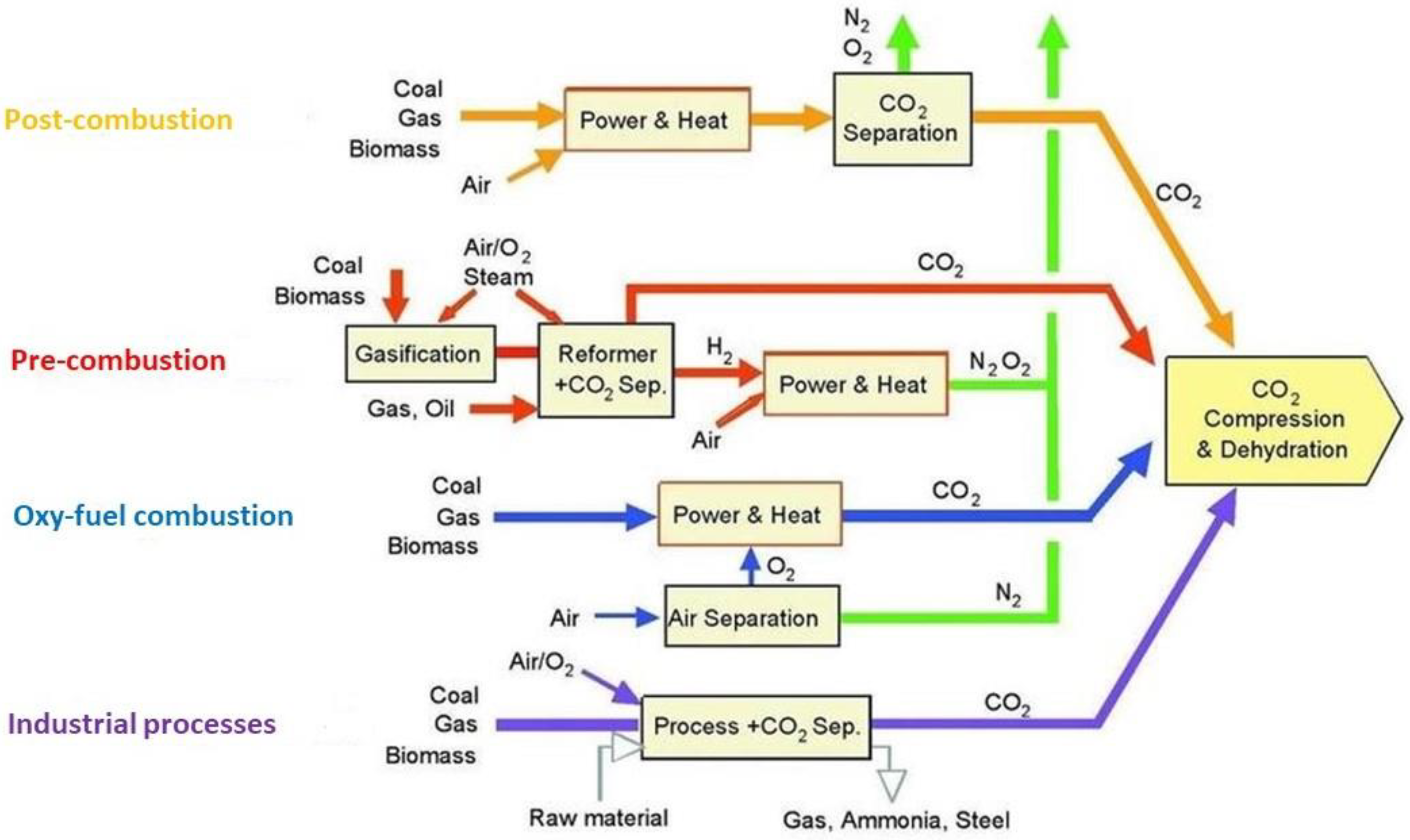 Membranes 13 00898 g001