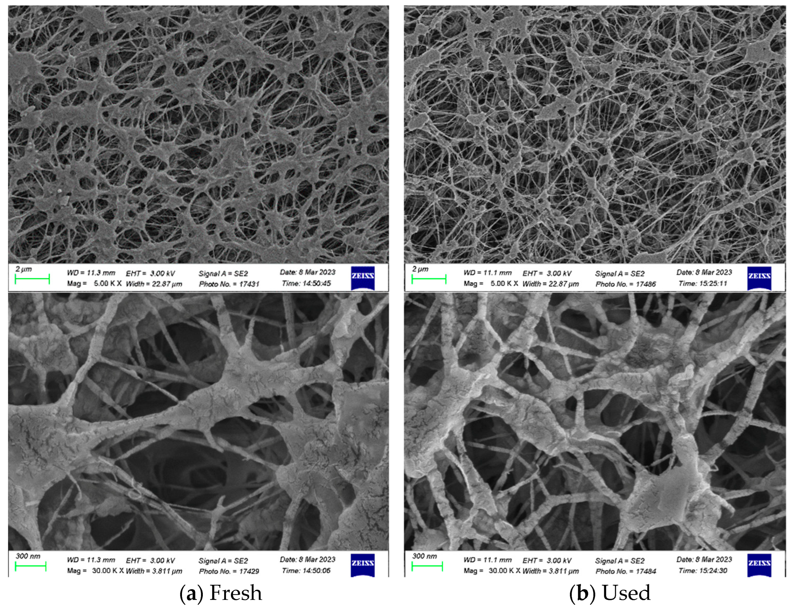 Membranes 13 00899 g012