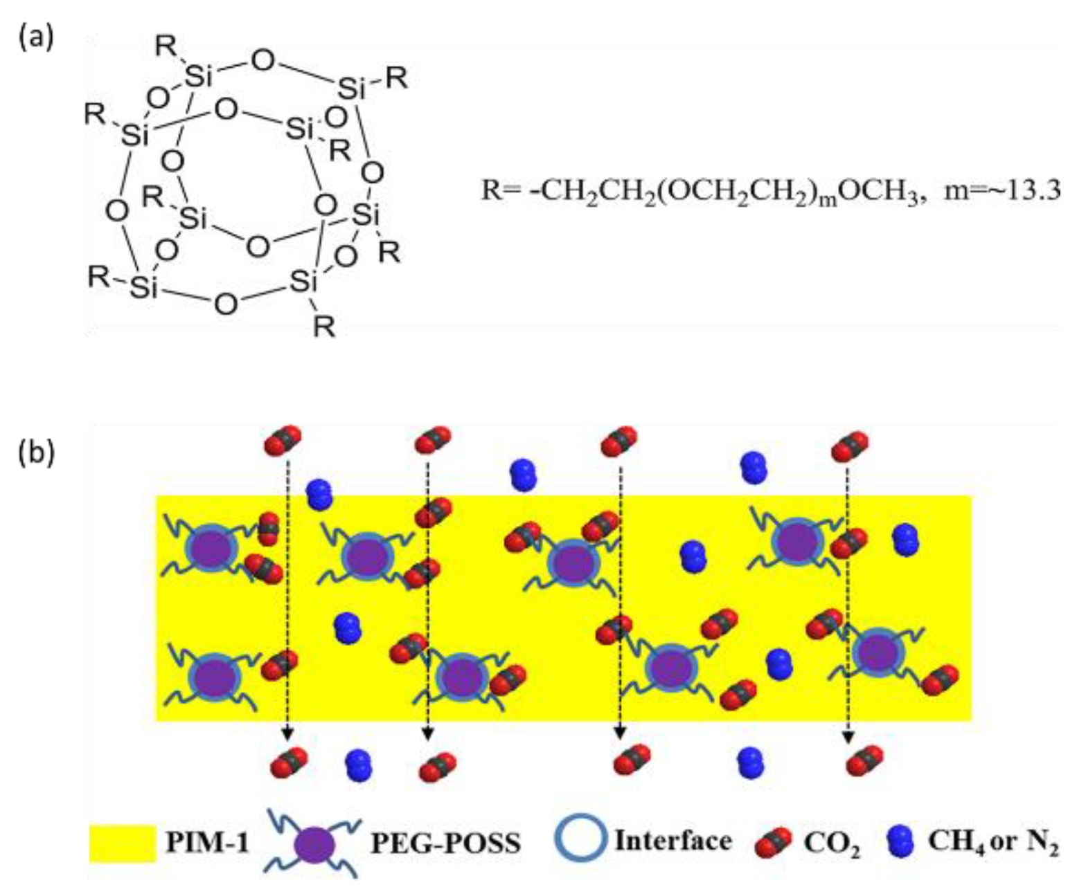 Membranes 13 00903 g007