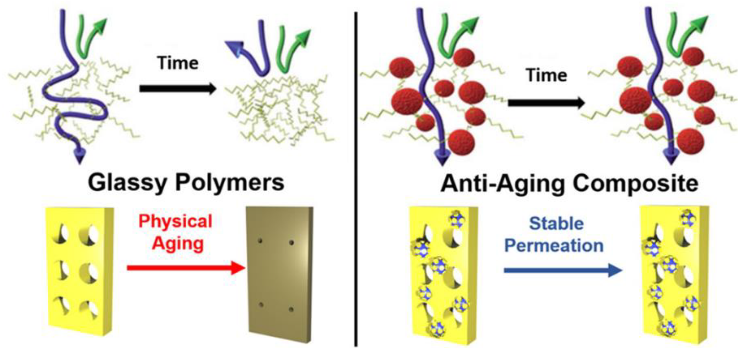 Membranes 13 00903 g008