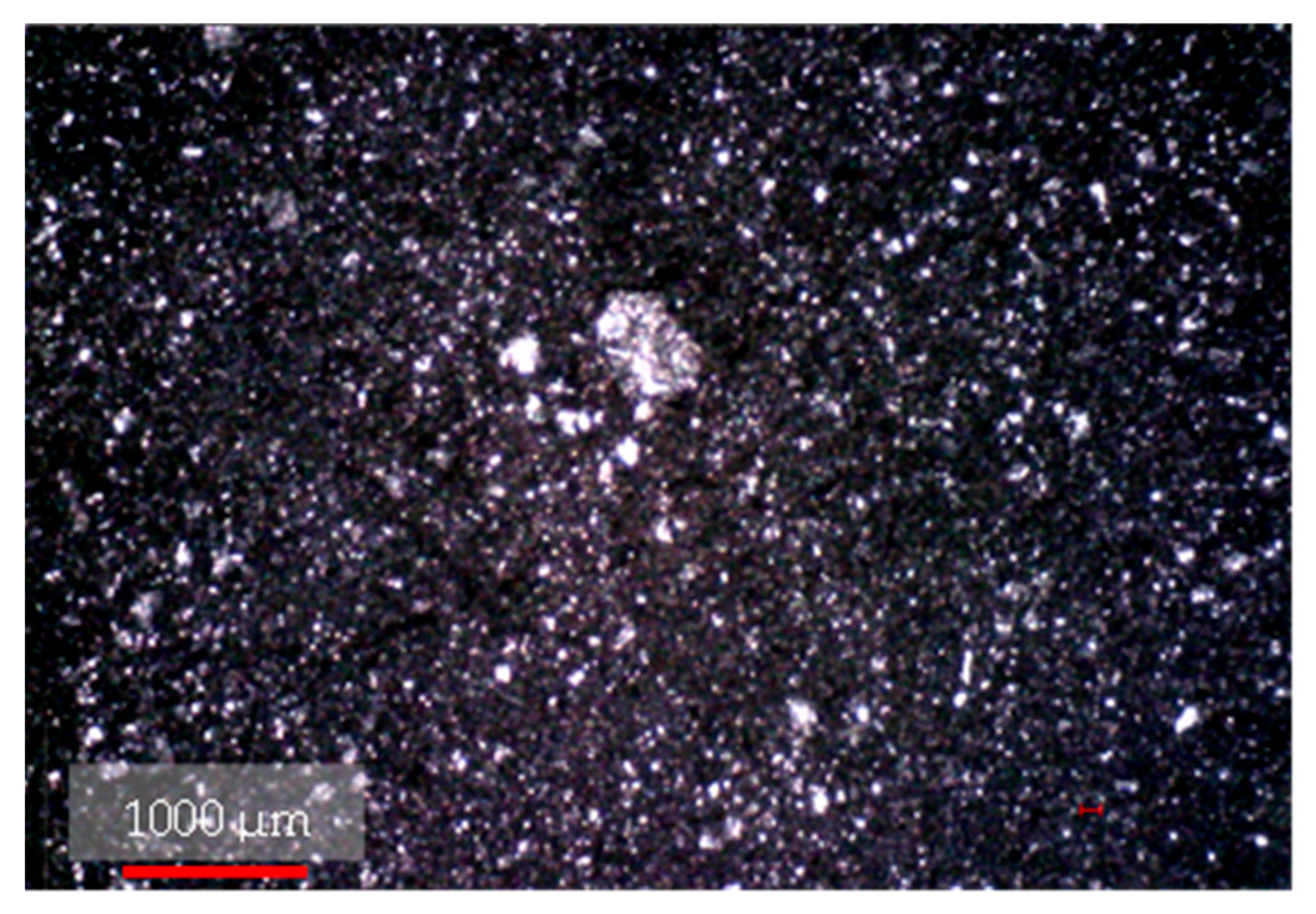 Membranes 13 00906 g001