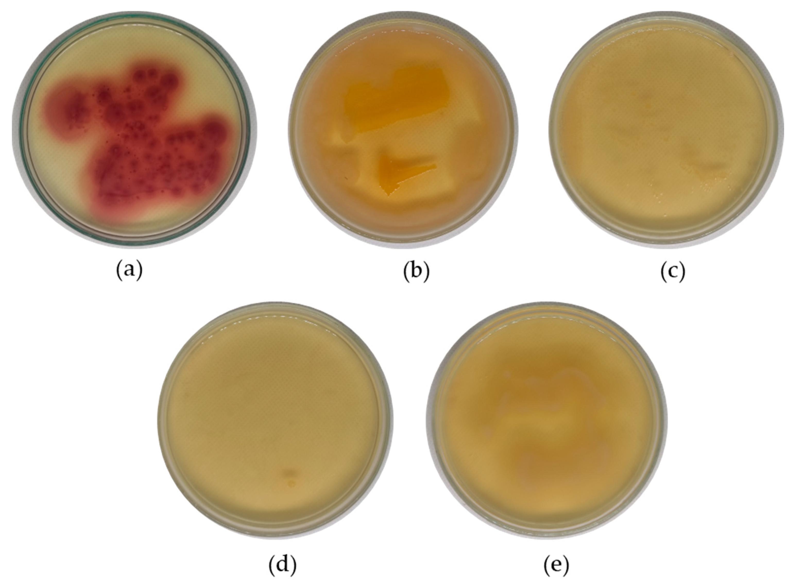Membranes 13 00906 g007