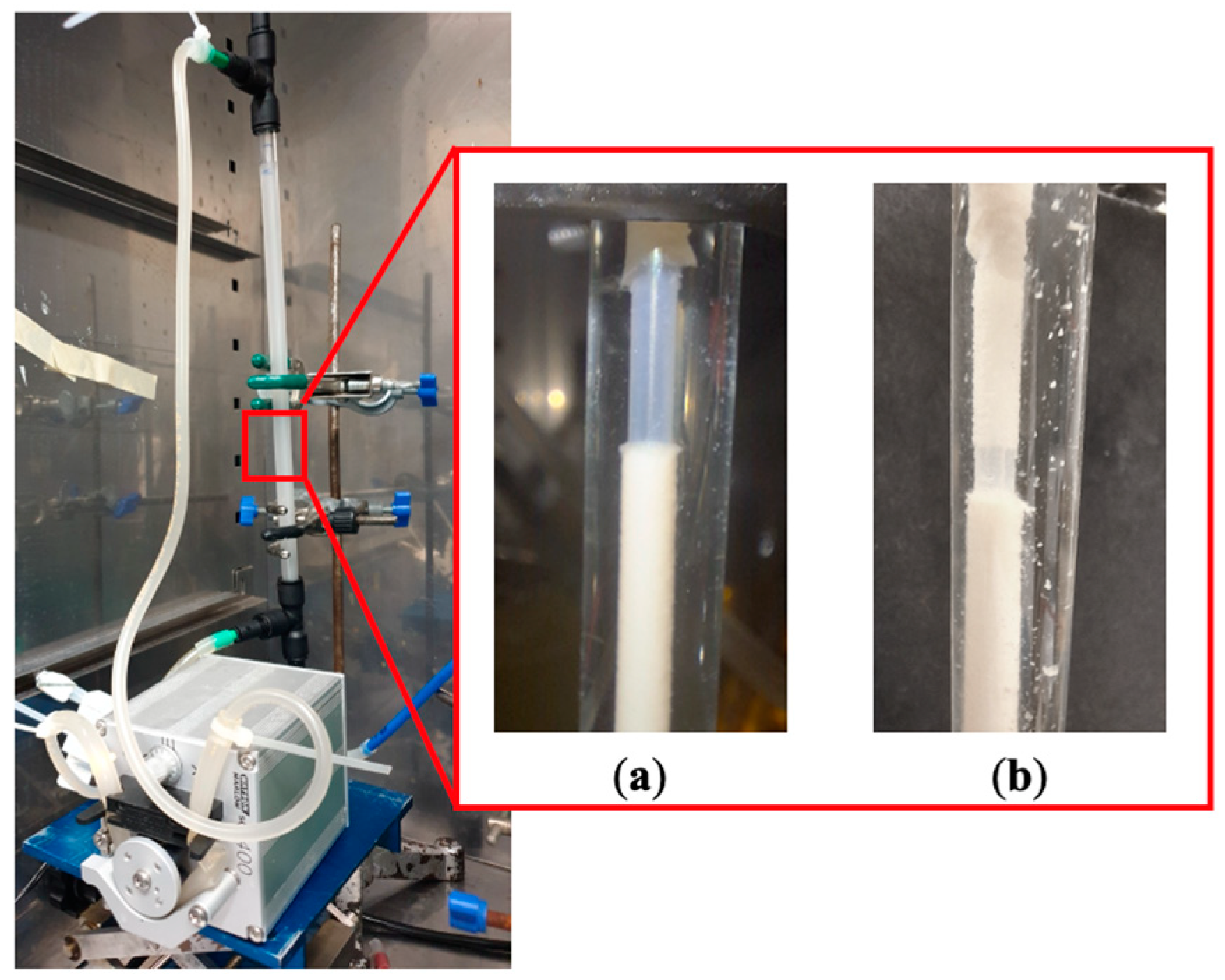 Membranes 13 00908 g008