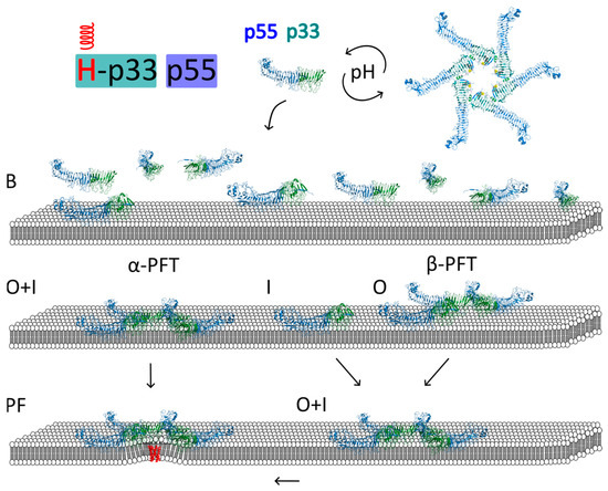 Membranes 14 00011 g005