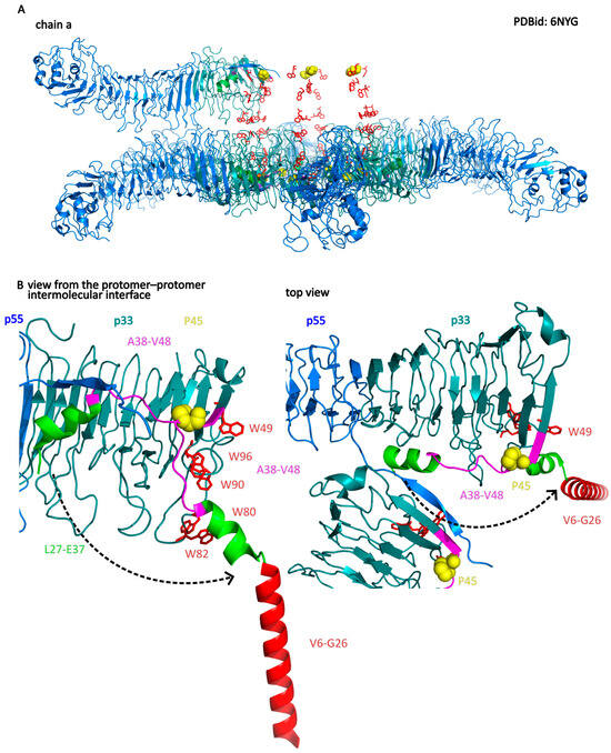 Membranes 14 00011 g006