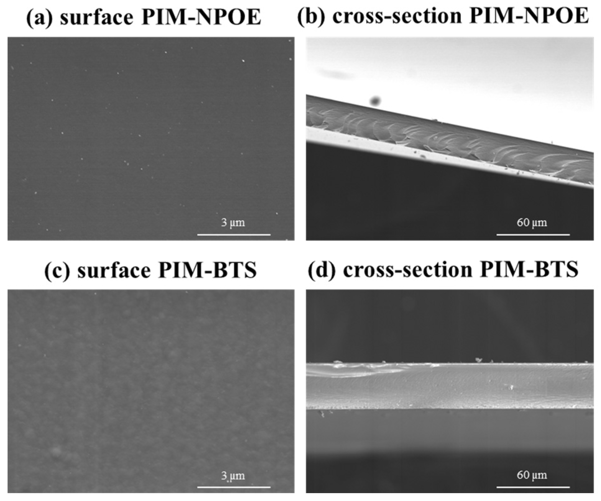 Membranes 14 00019 g001