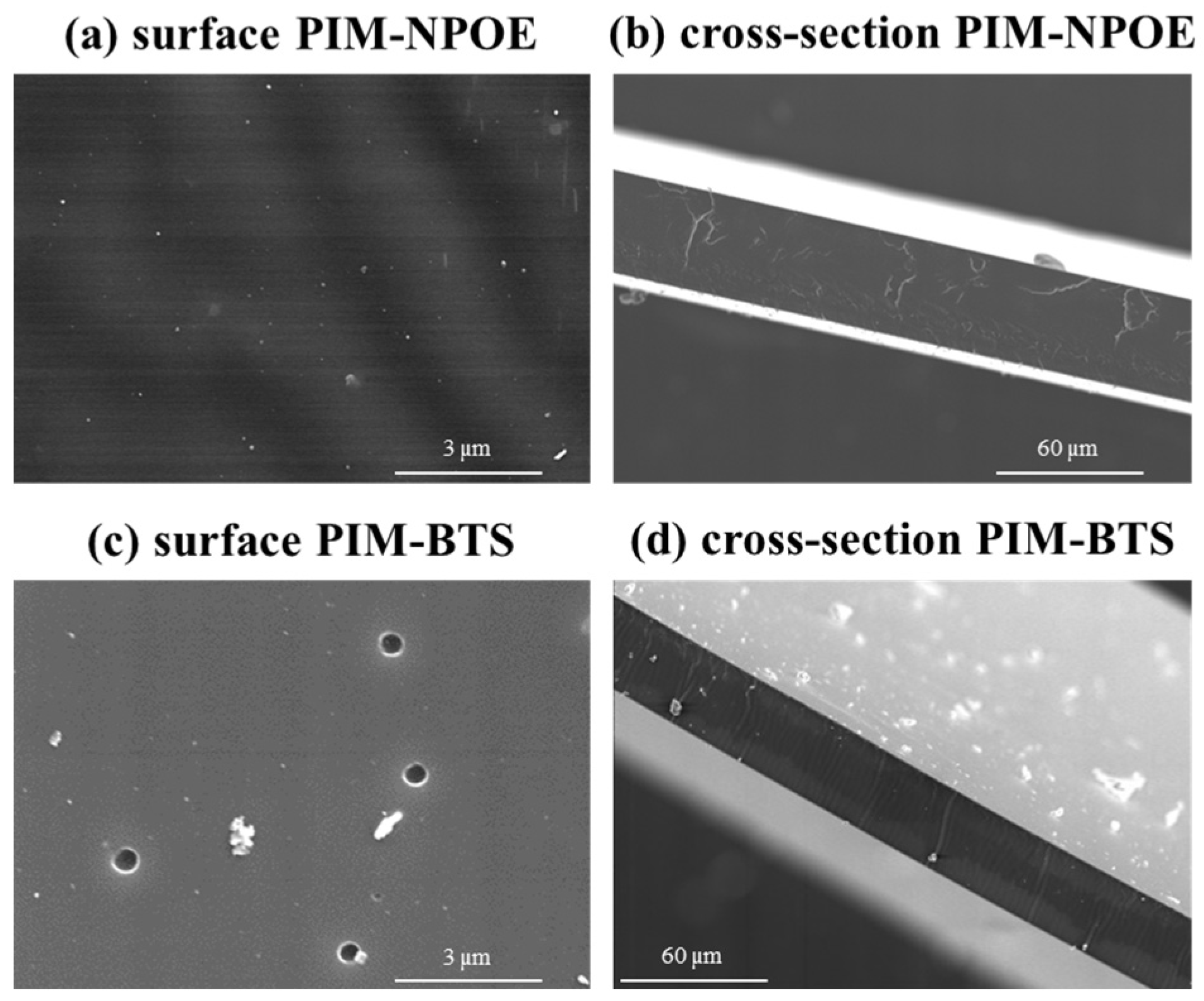 Membranes 14 00019 g002