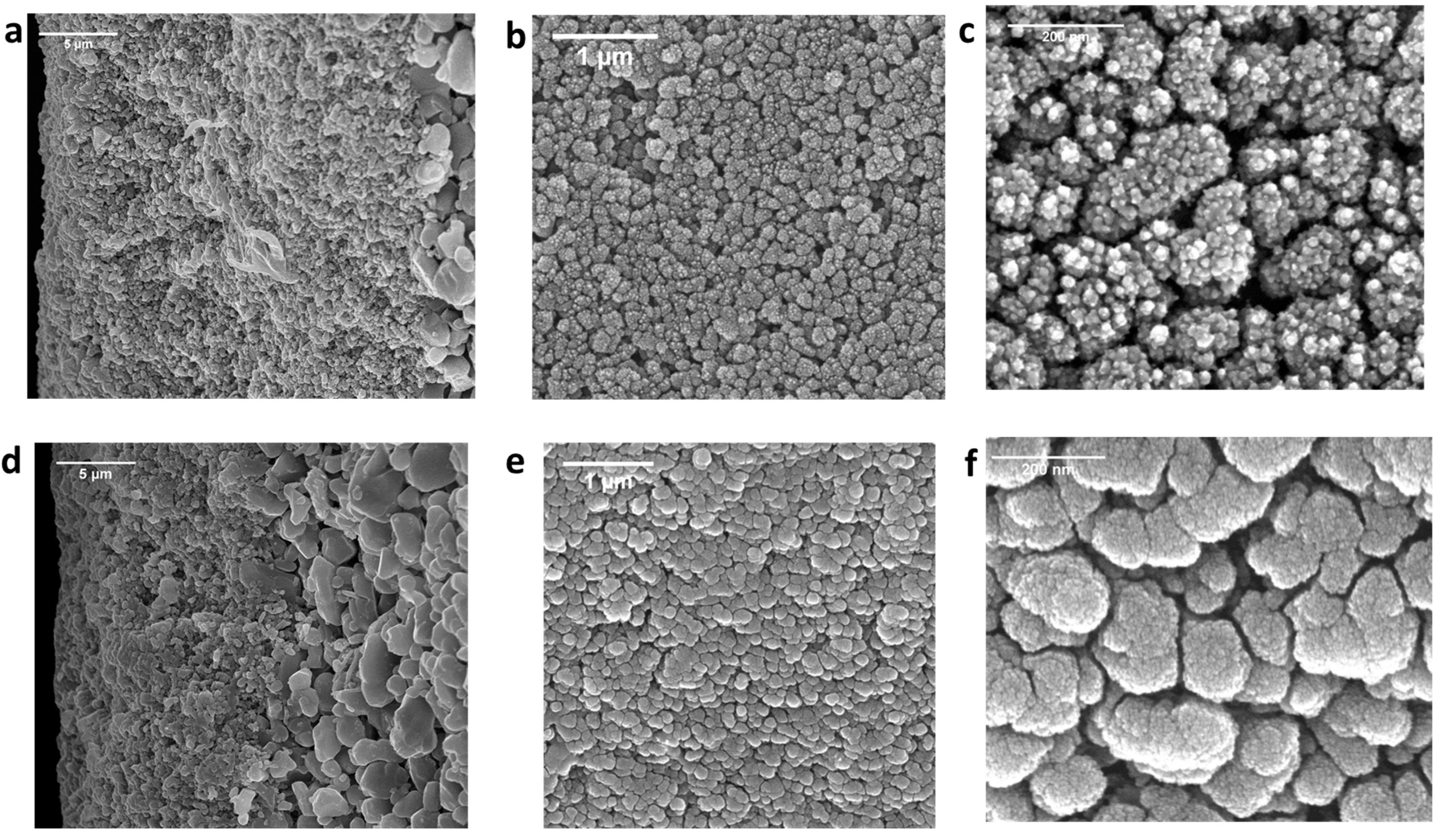 Membranes 14 00022 g008 Membranes 14 00022 g008