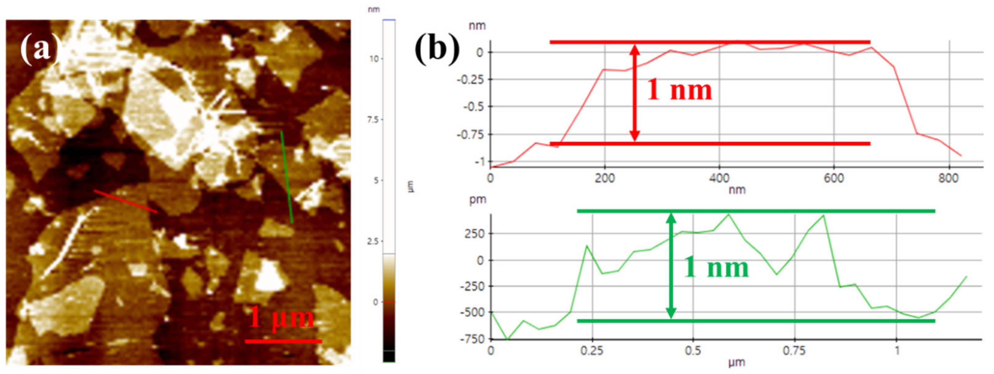 Membranes 14 00032 g003