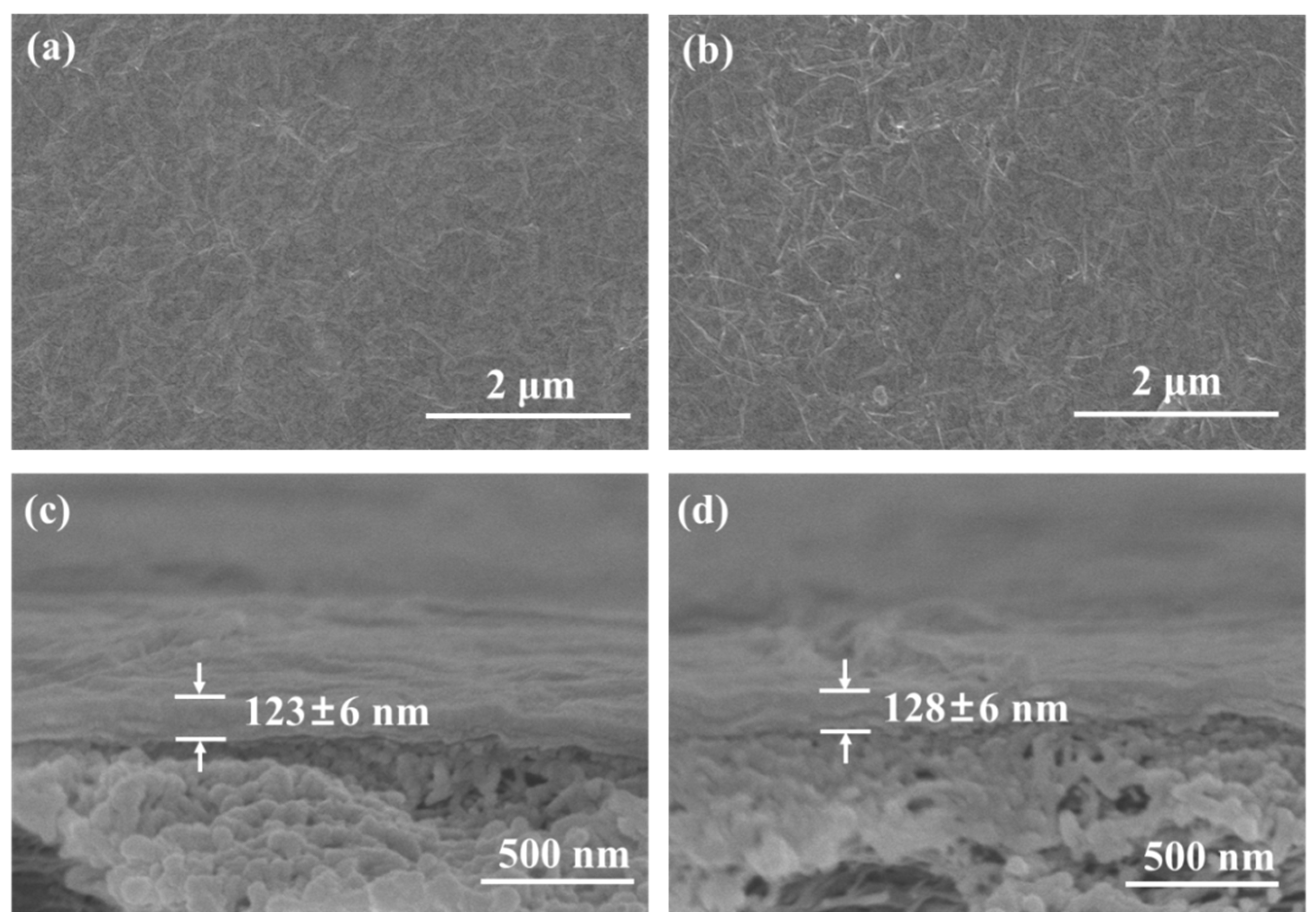 Membranes 14 00032 g004