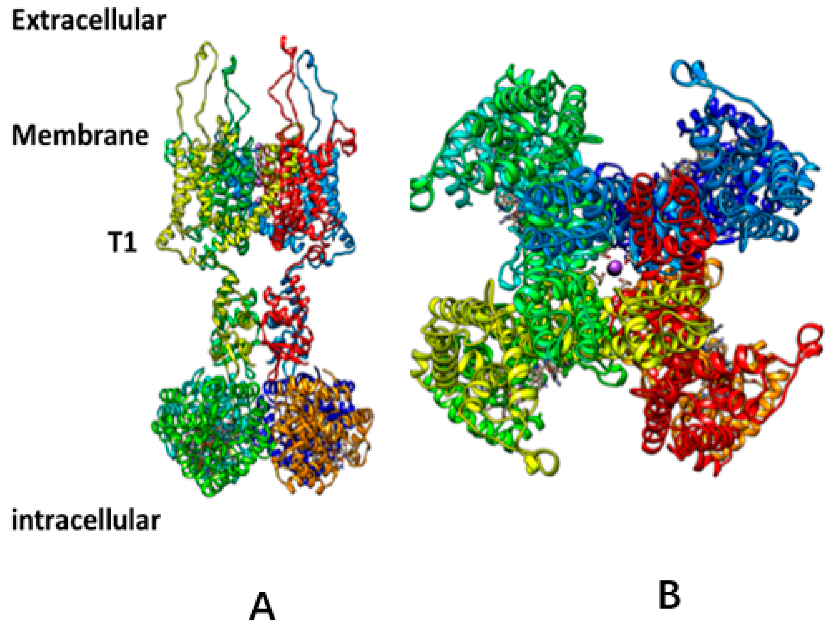 Membranes 14 00037 g001