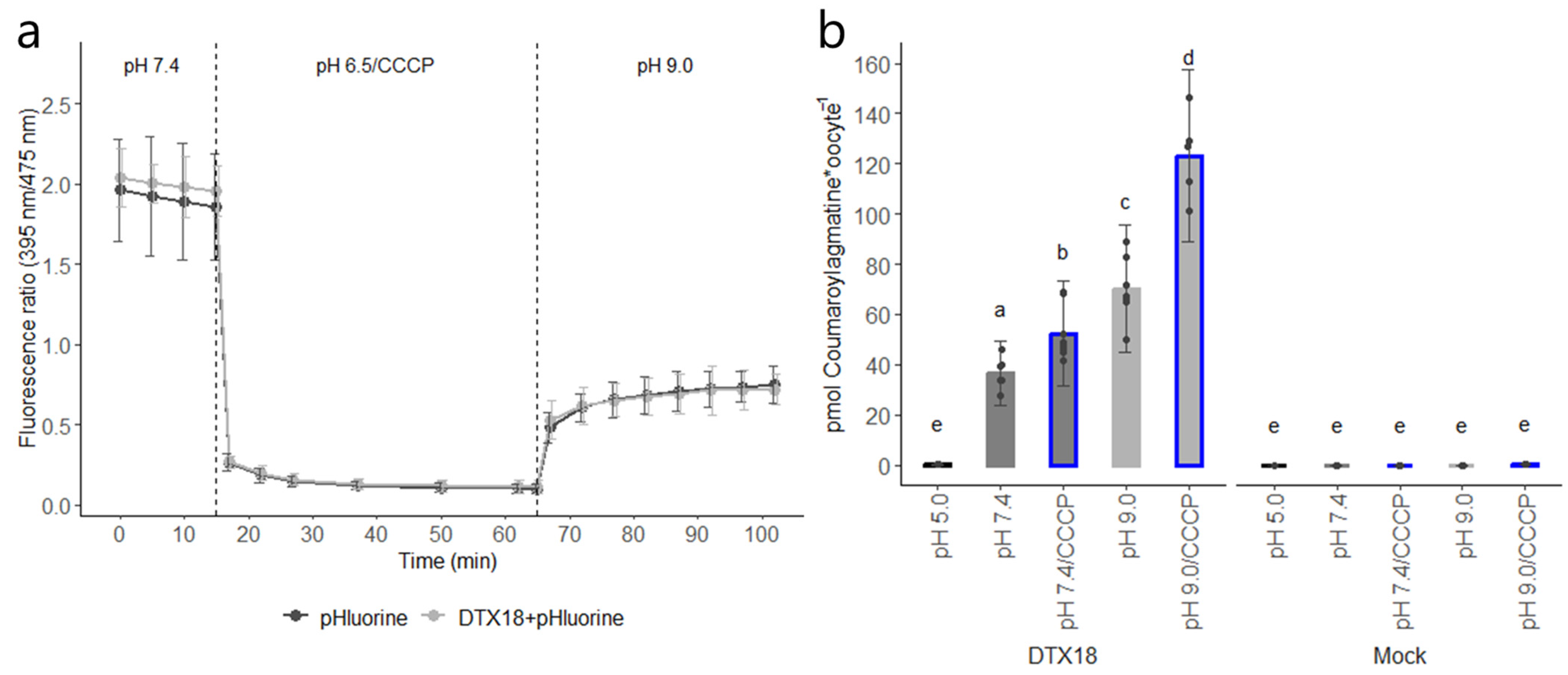 Membranes 14 00039 g003