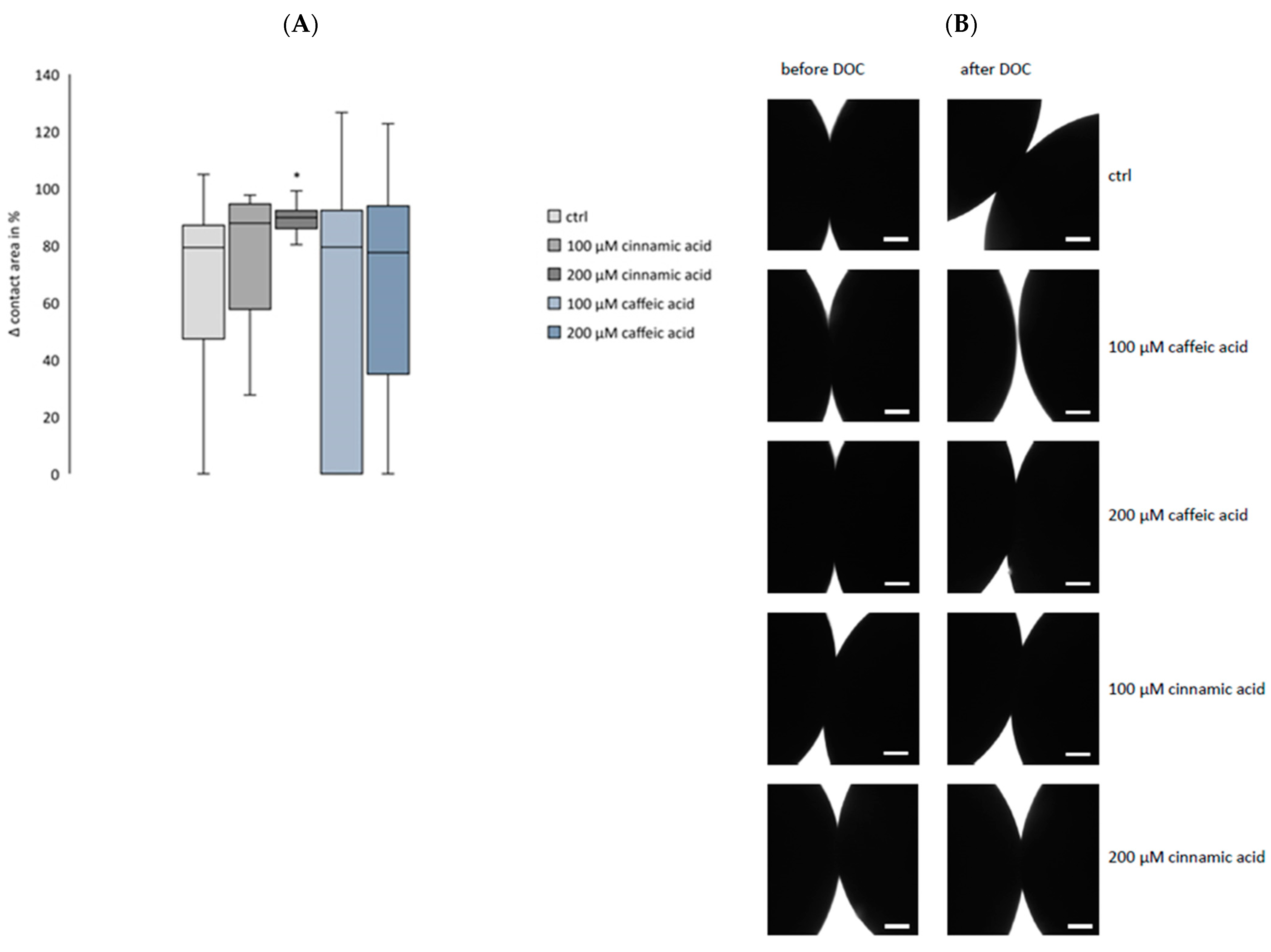 Membranes 14 00040 g005