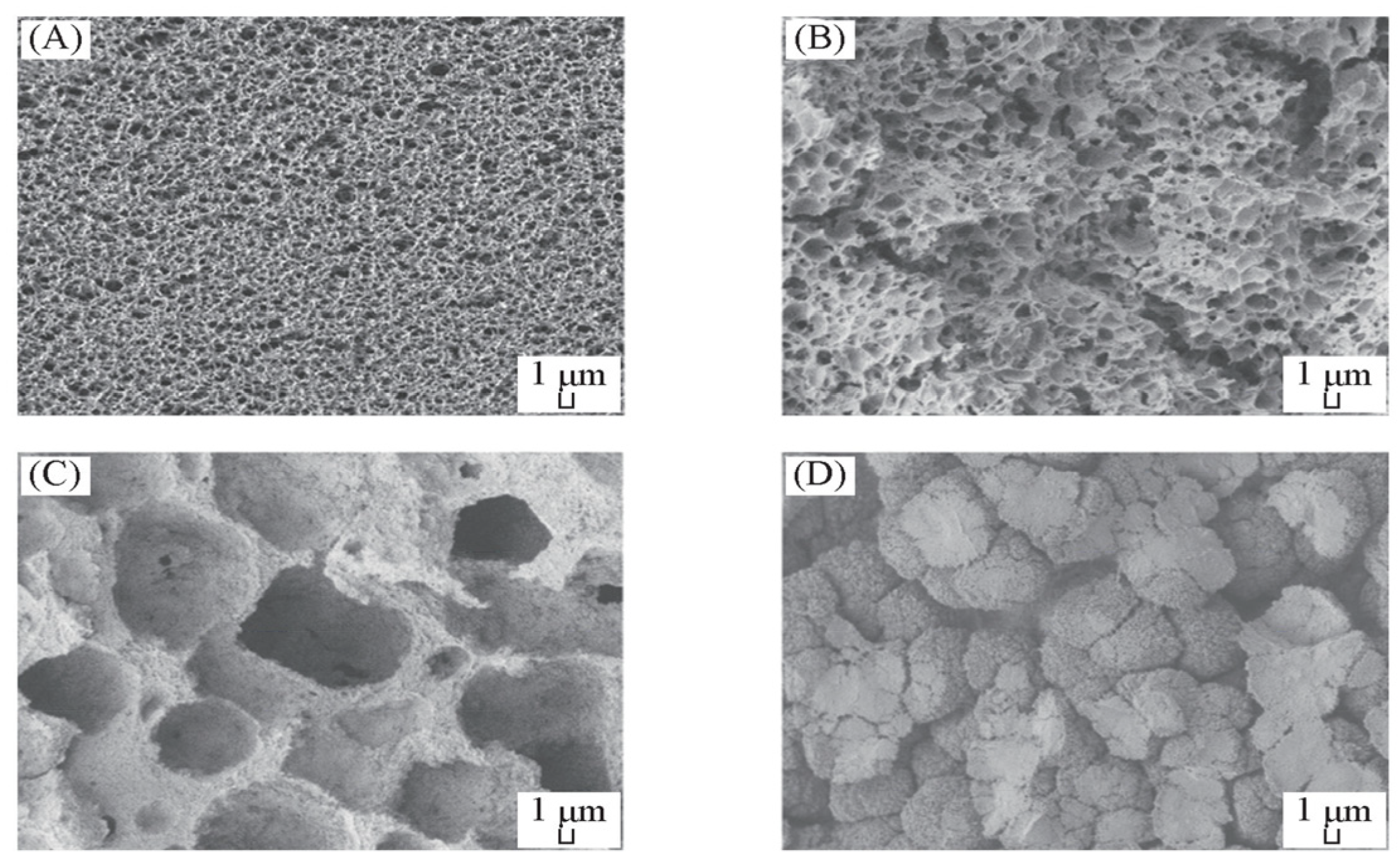Membranes 14 00042 g004 Membranes 14 00042 g004