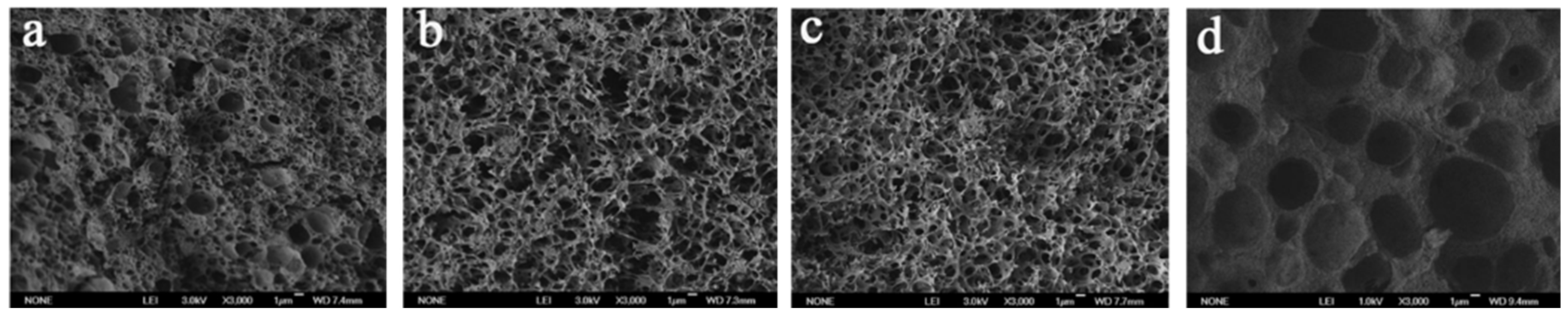 Membranes 14 00042 g005 Membranes 14 00042 g005