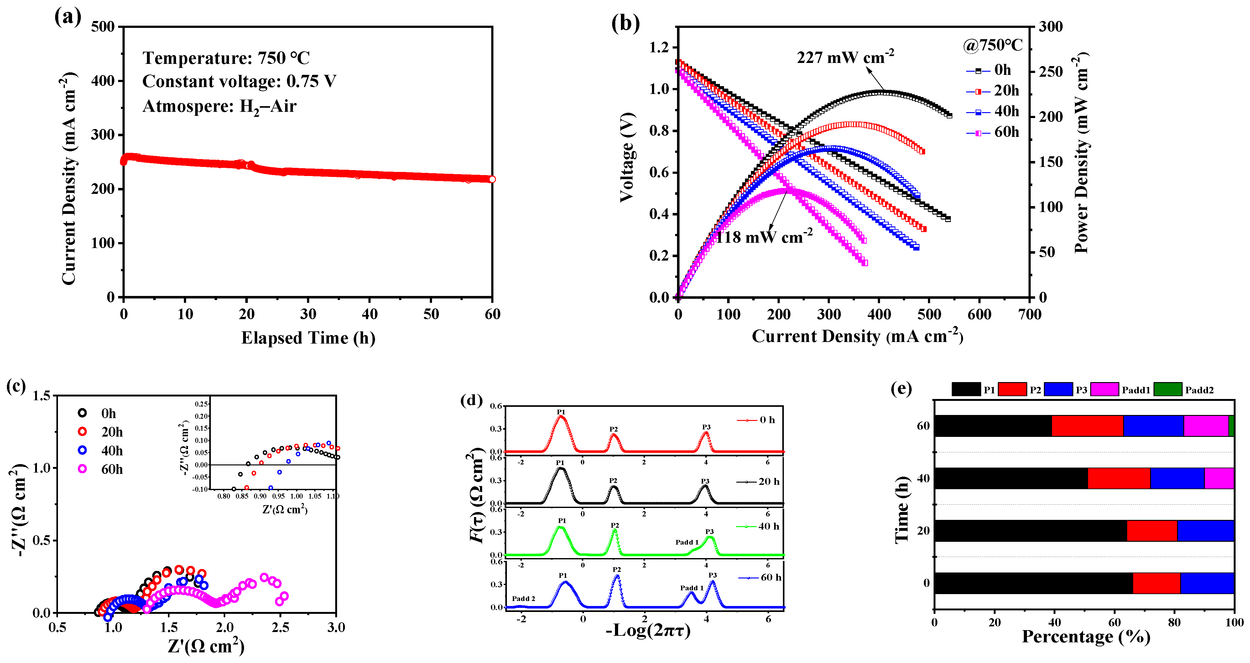 Membranes 14 00044 g005
