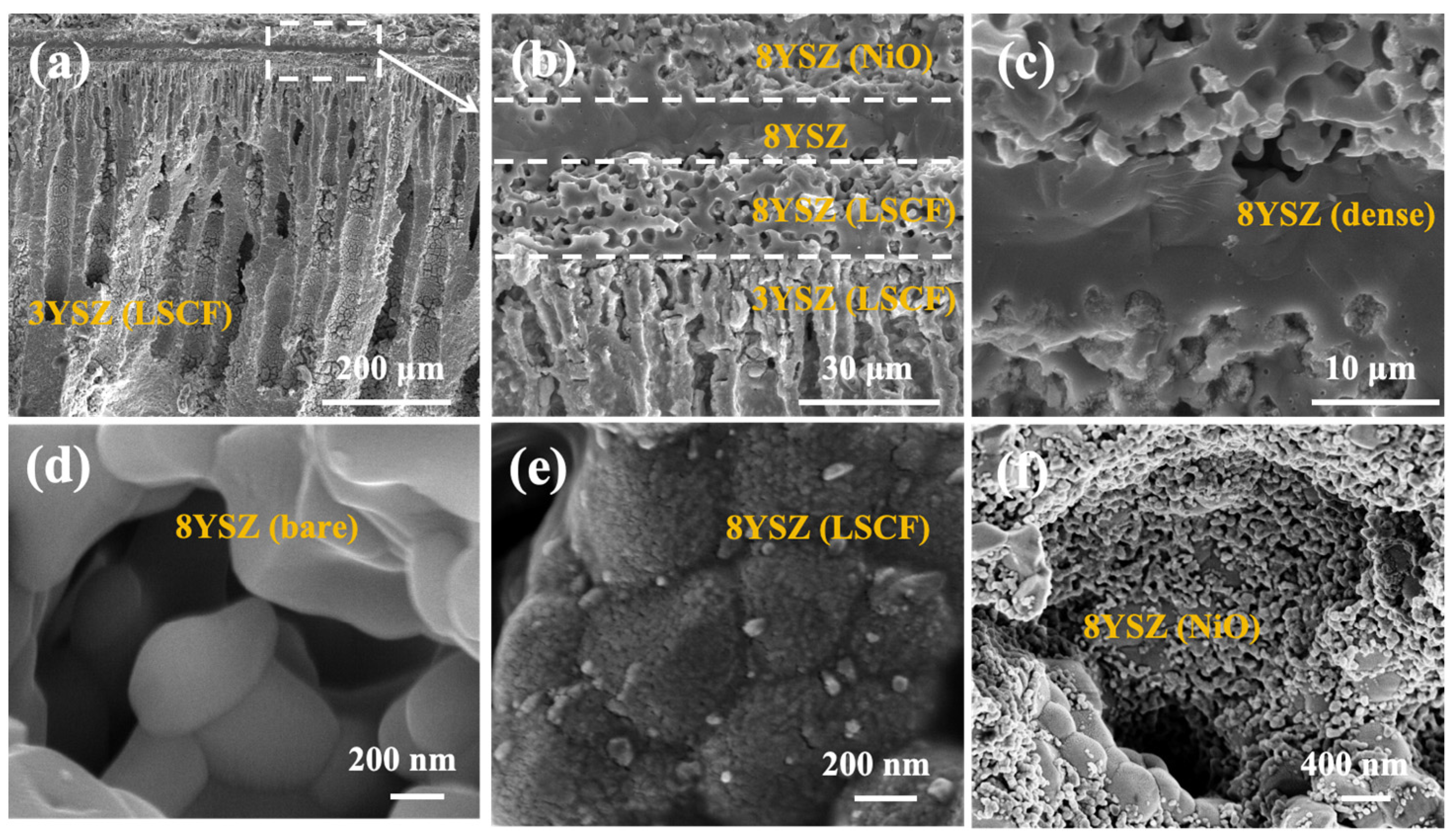 Membranes 14 00044 g006