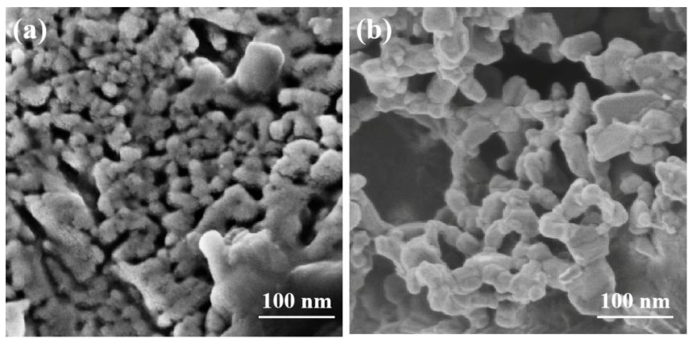 Membranes 14 00044 g007