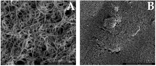 Membranes 14 00053 g003a Membranes 14 00053 g003a