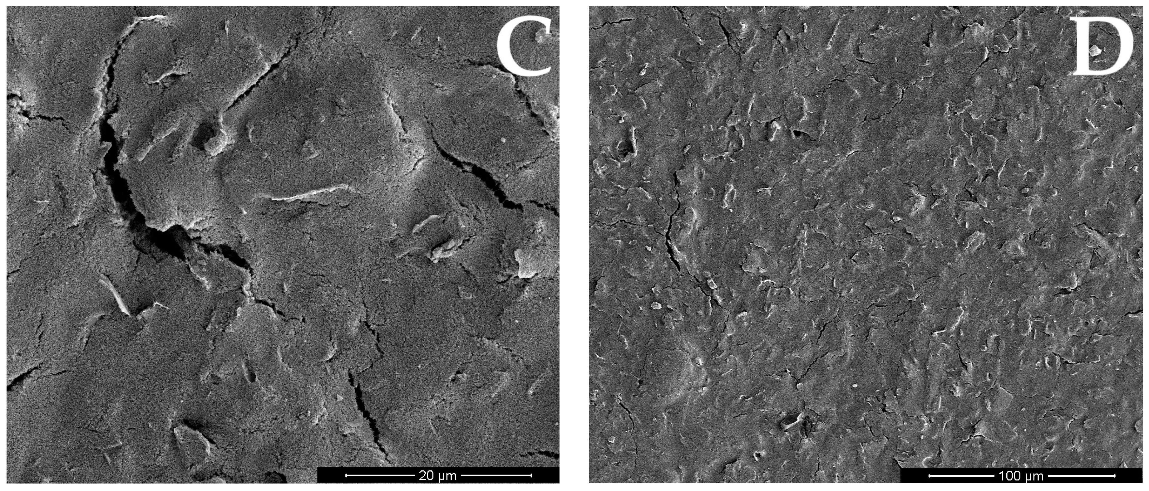 Membranes 14 00053 g003b Membranes 14 00053 g003b