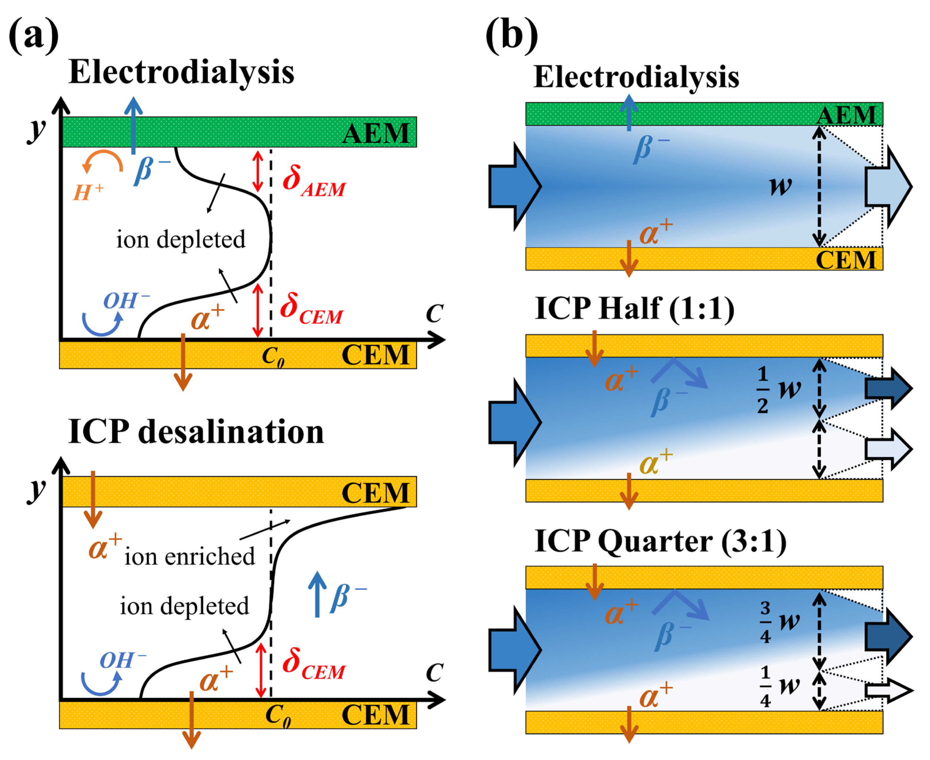 Membranes 14 00056 g001