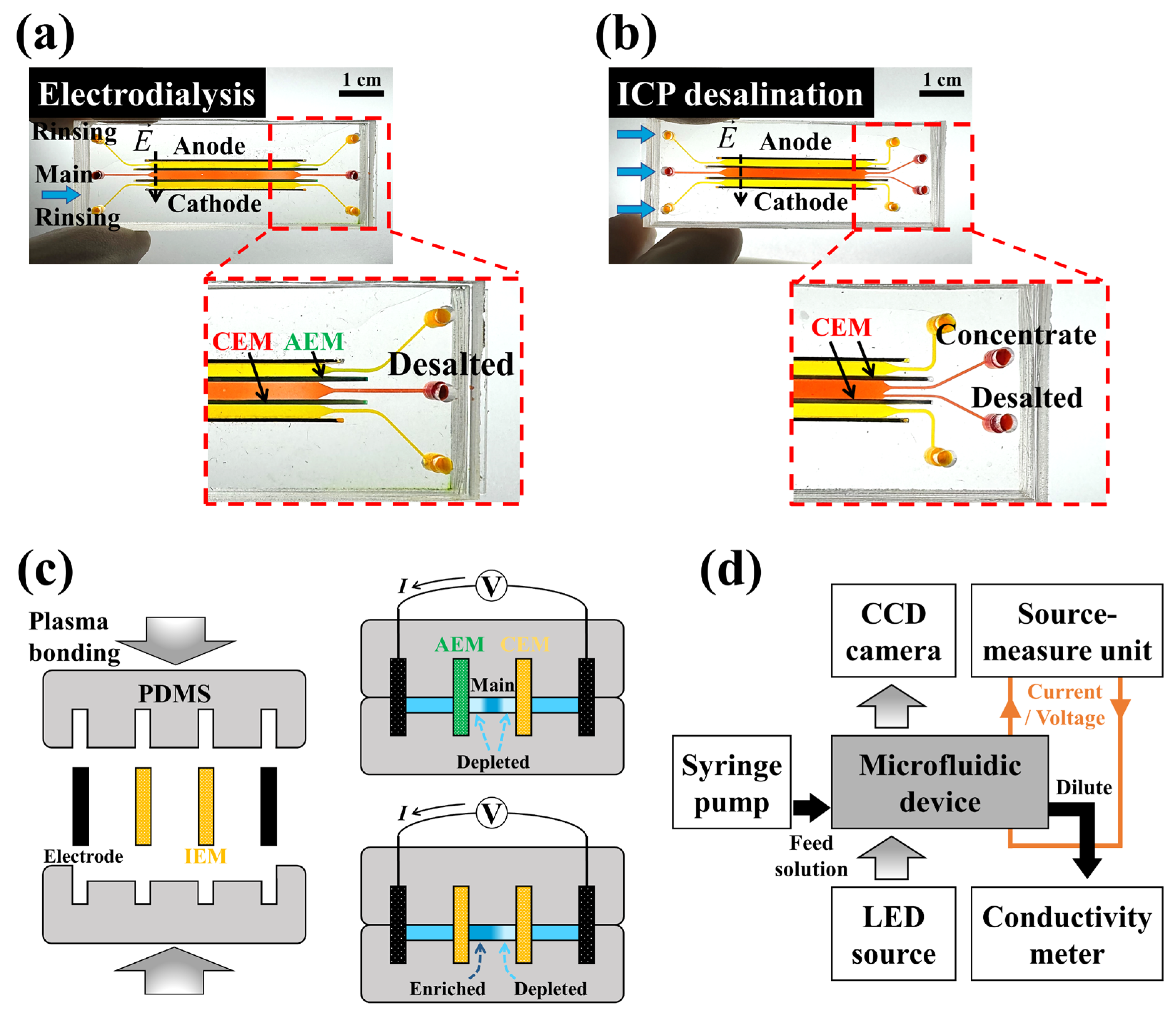 Membranes 14 00056 g002