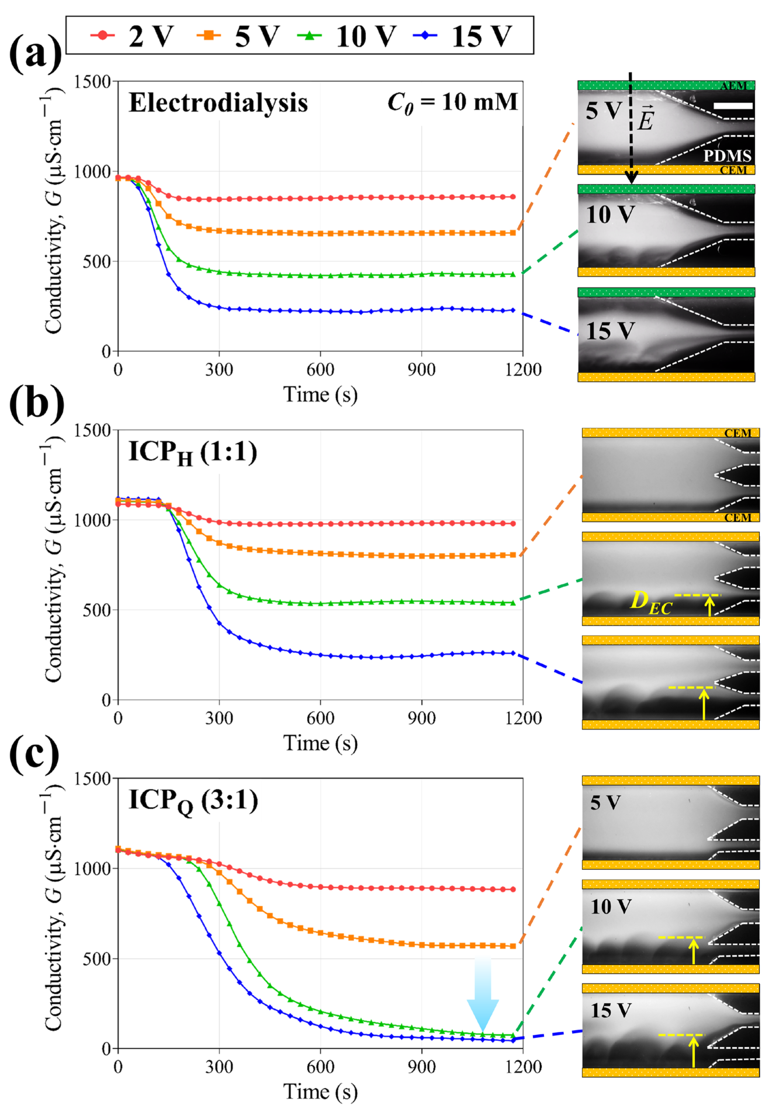 Membranes 14 00056 g004